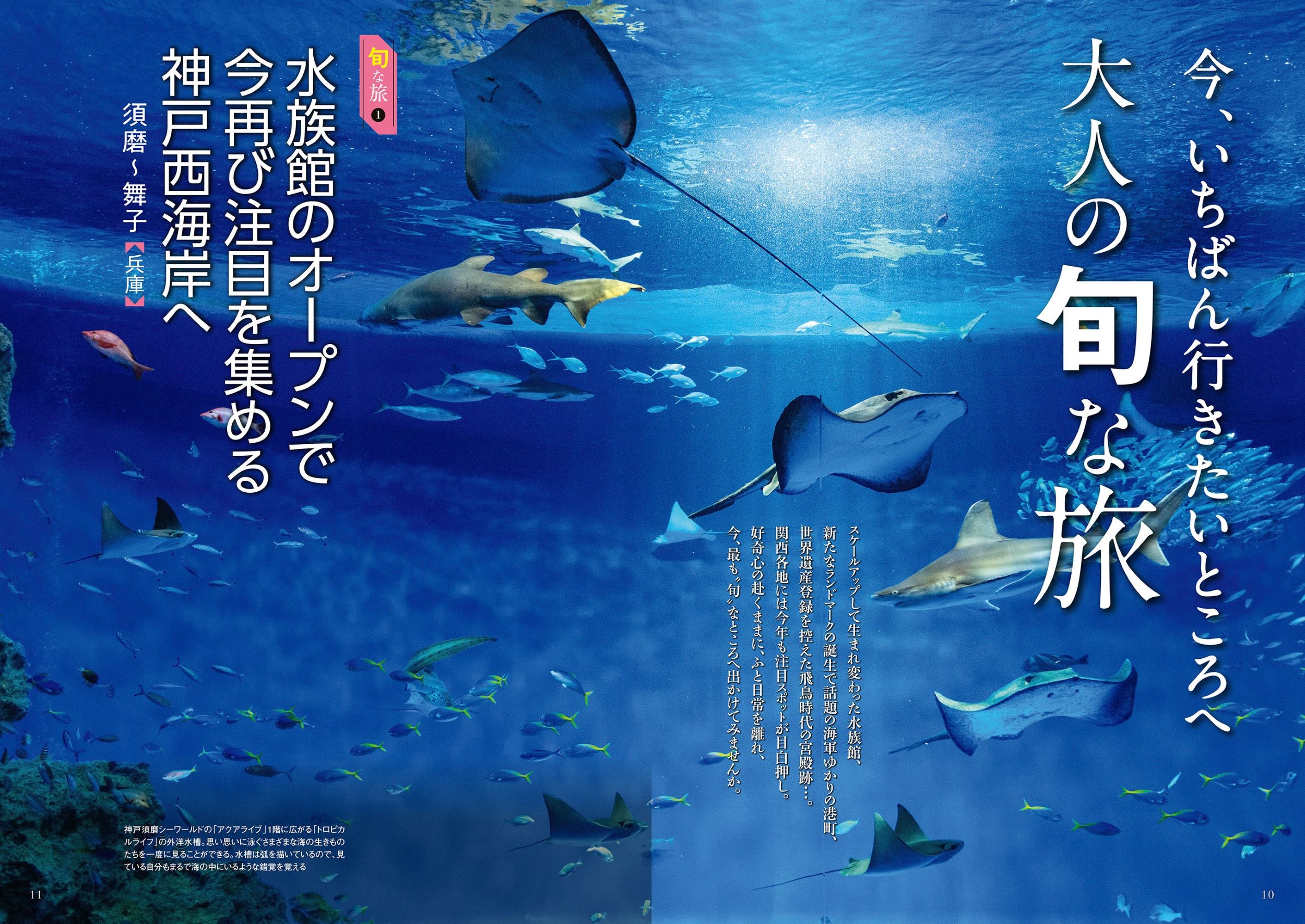 サムネイル画像3