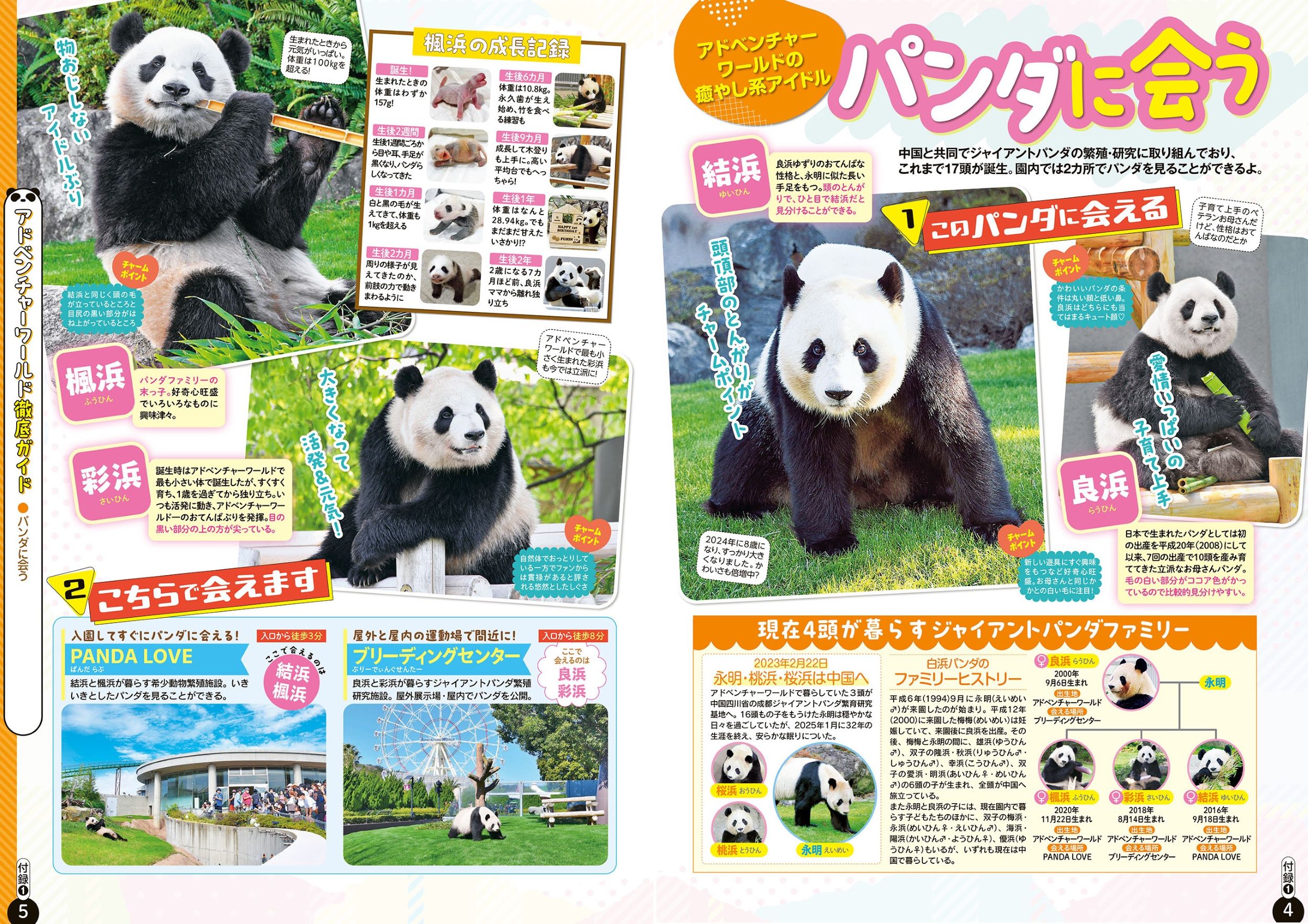 サムネイル画像6