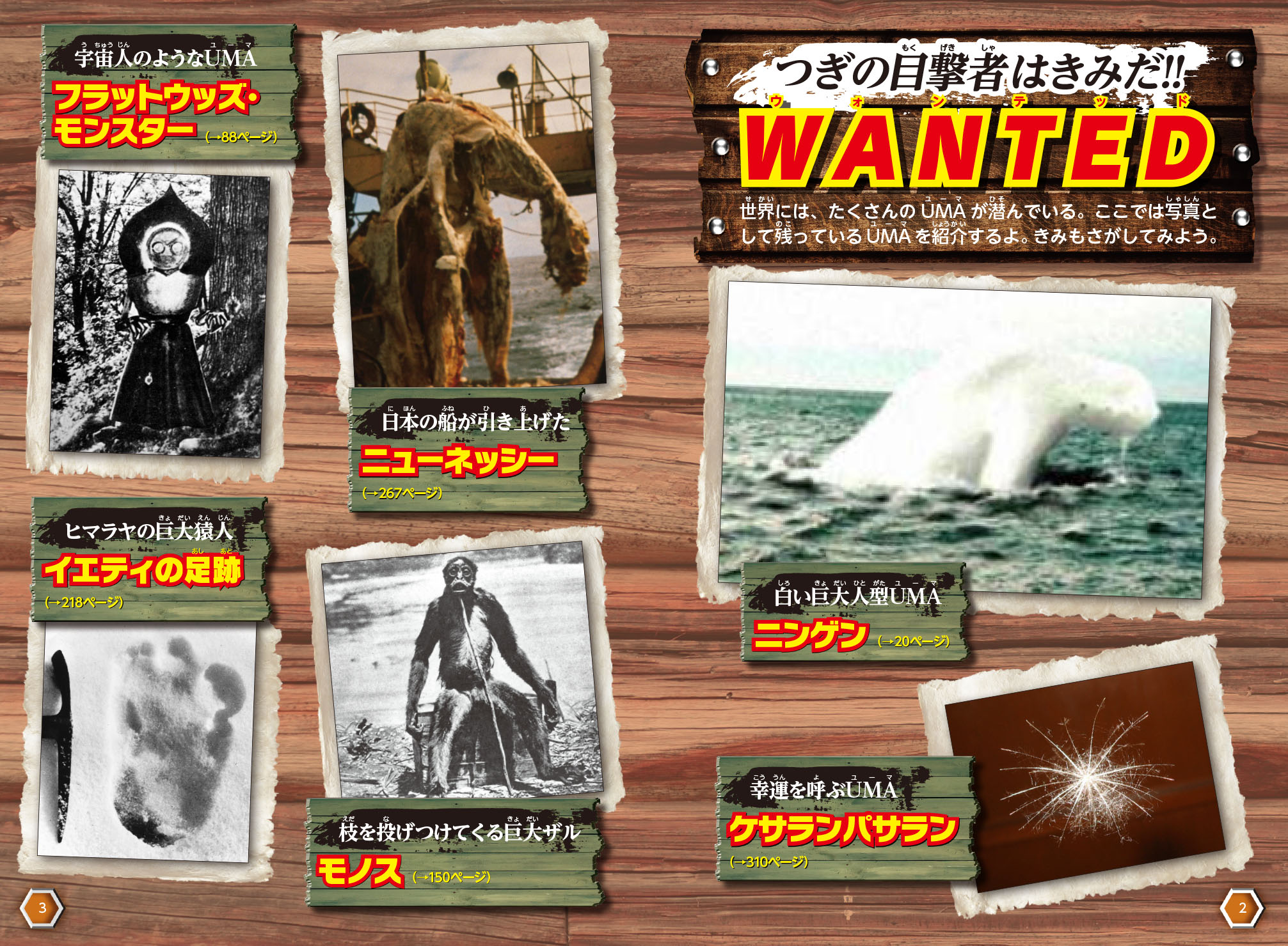 サムネイル画像1