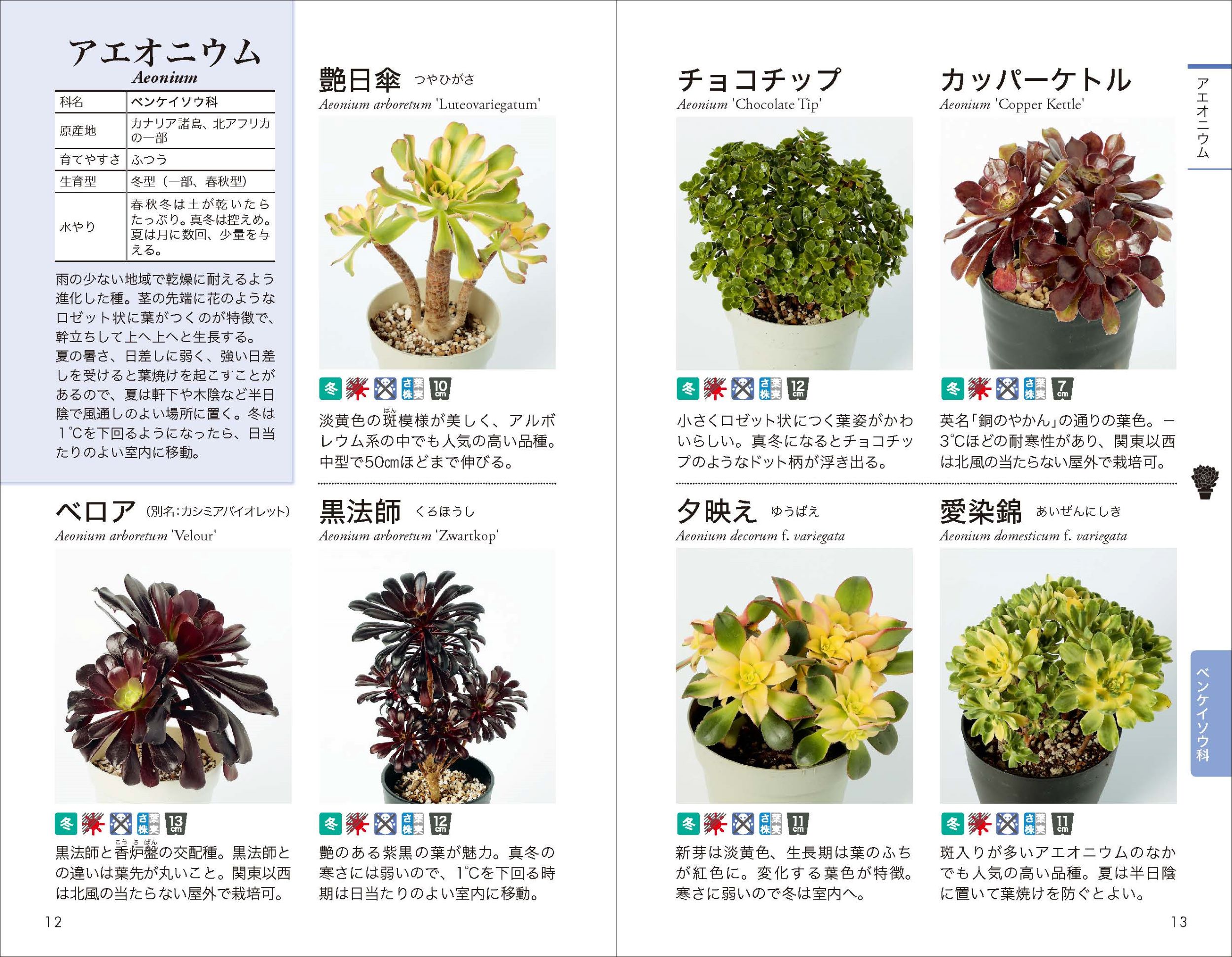 サムネイル画像1