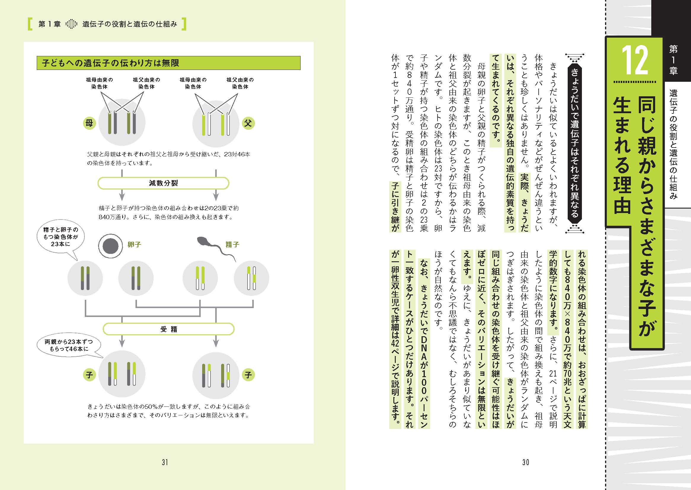 サムネイル画像1