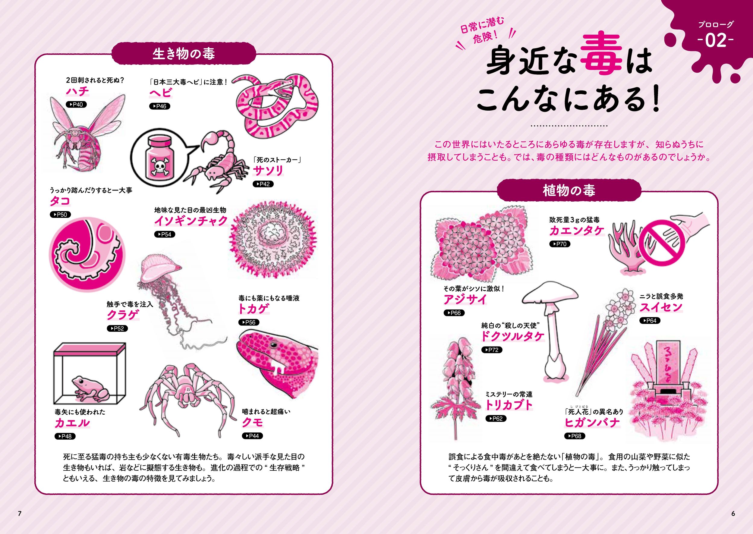 サムネイル画像2