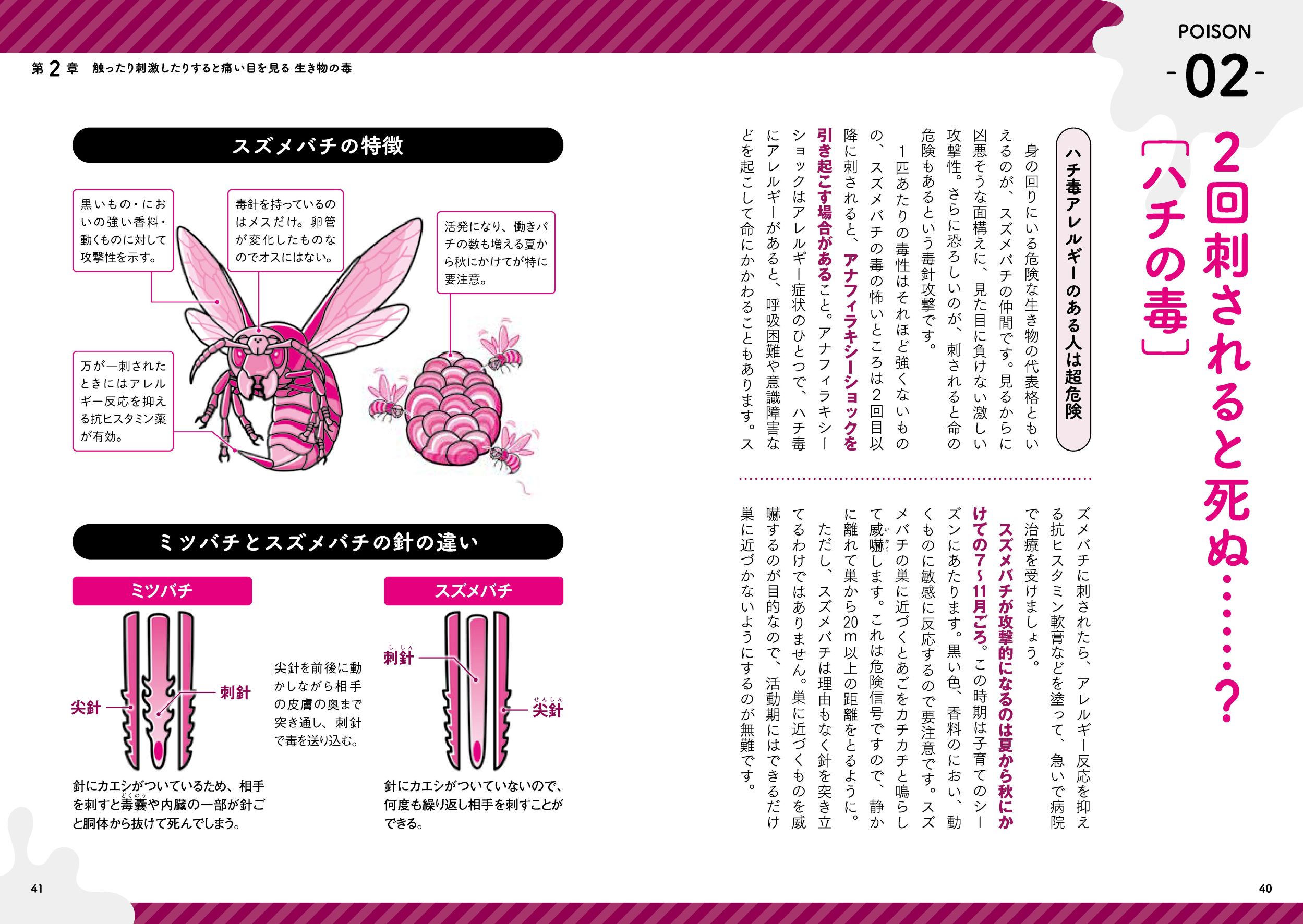 サムネイル画像6