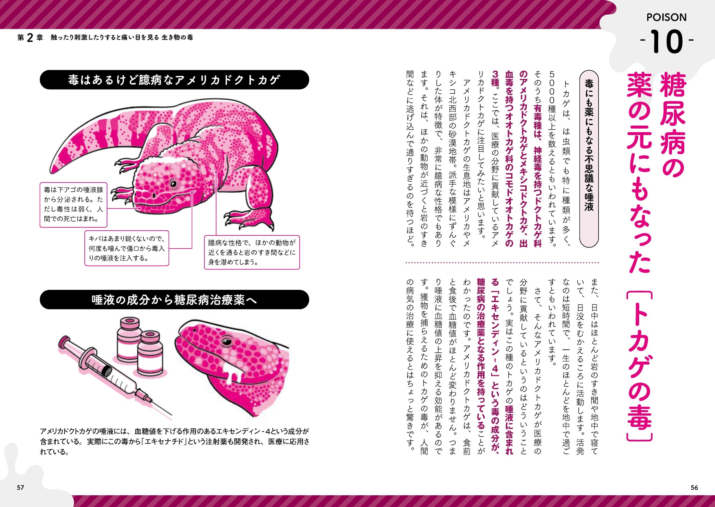 サムネイル画像7