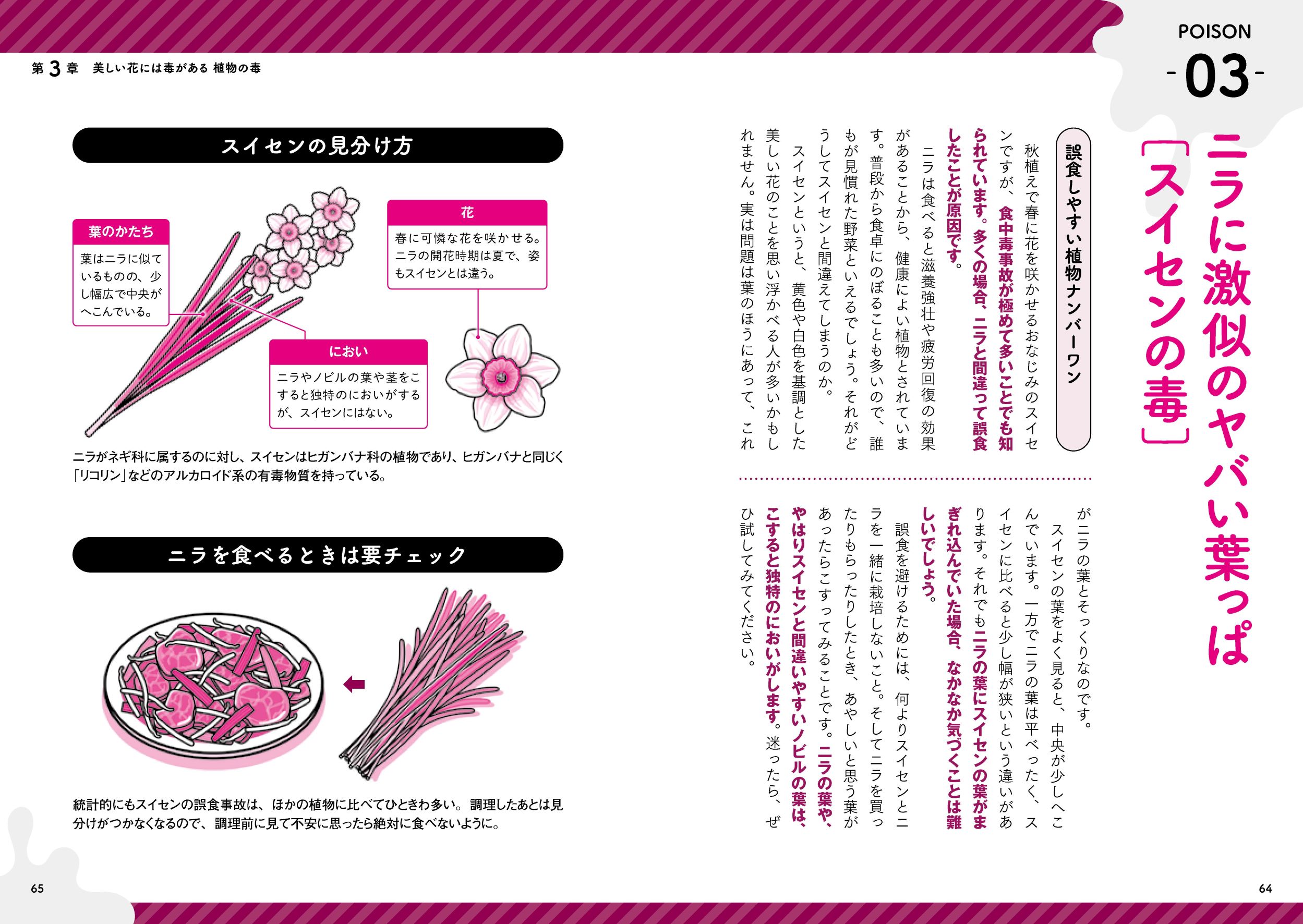 サムネイル画像8