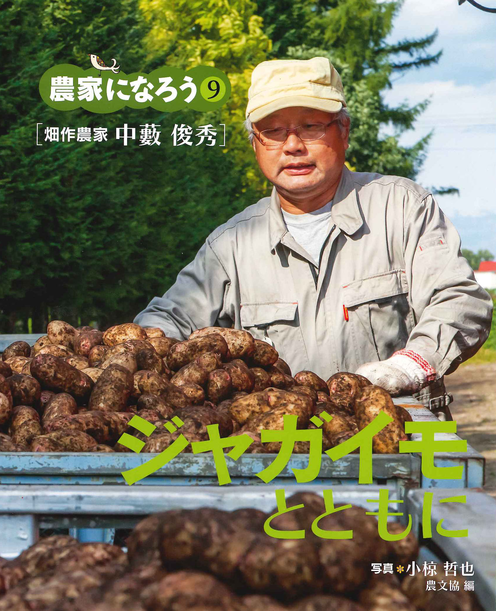 メイン画像