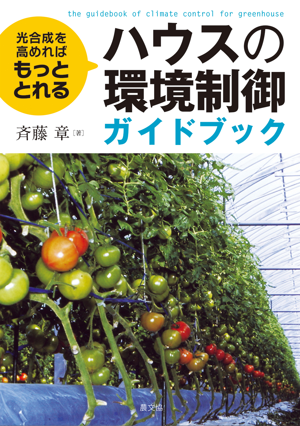 メイン画像