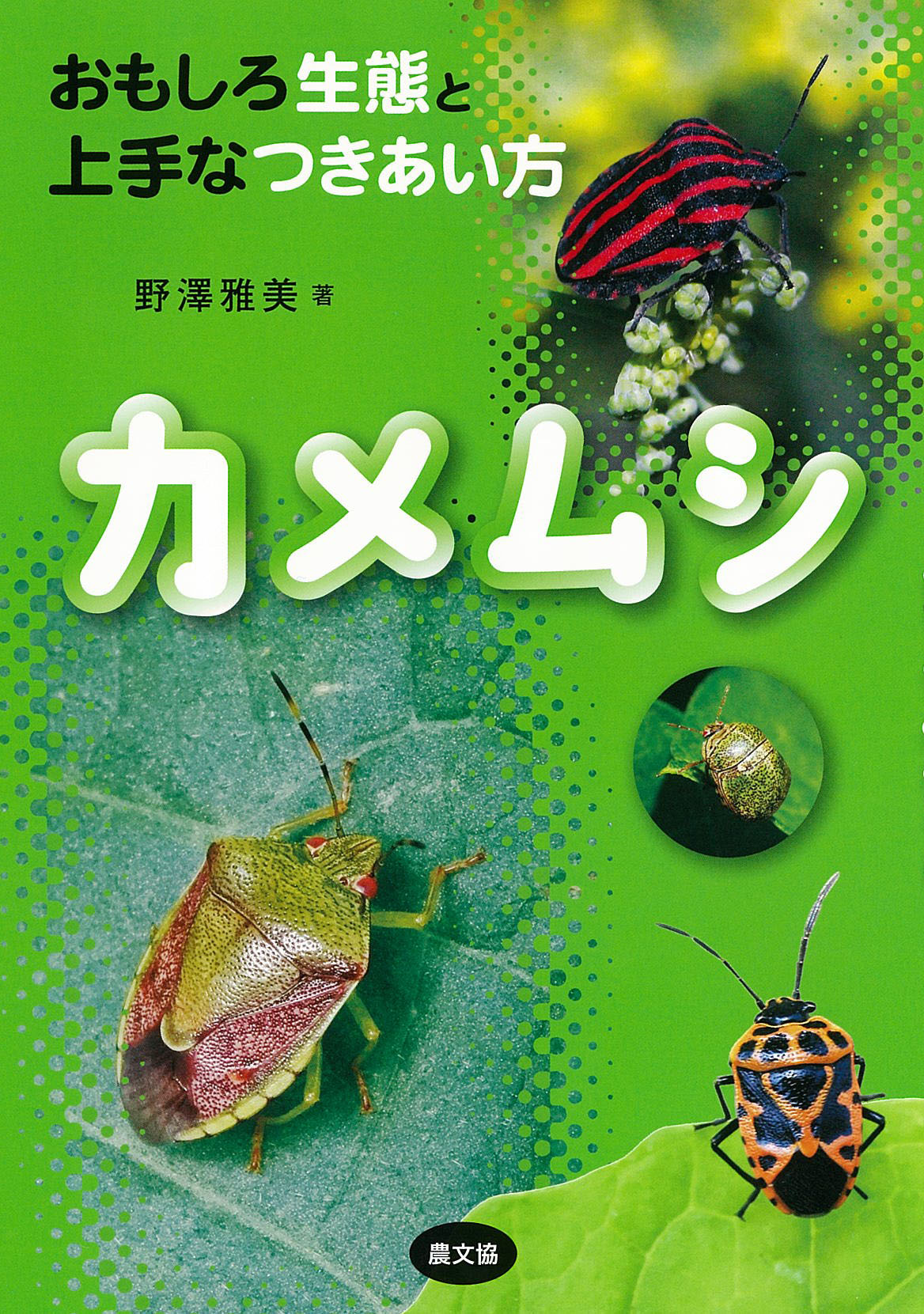 メイン画像