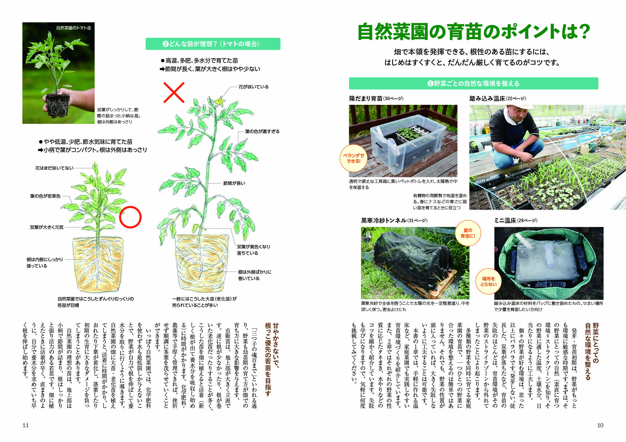 サムネイル画像2