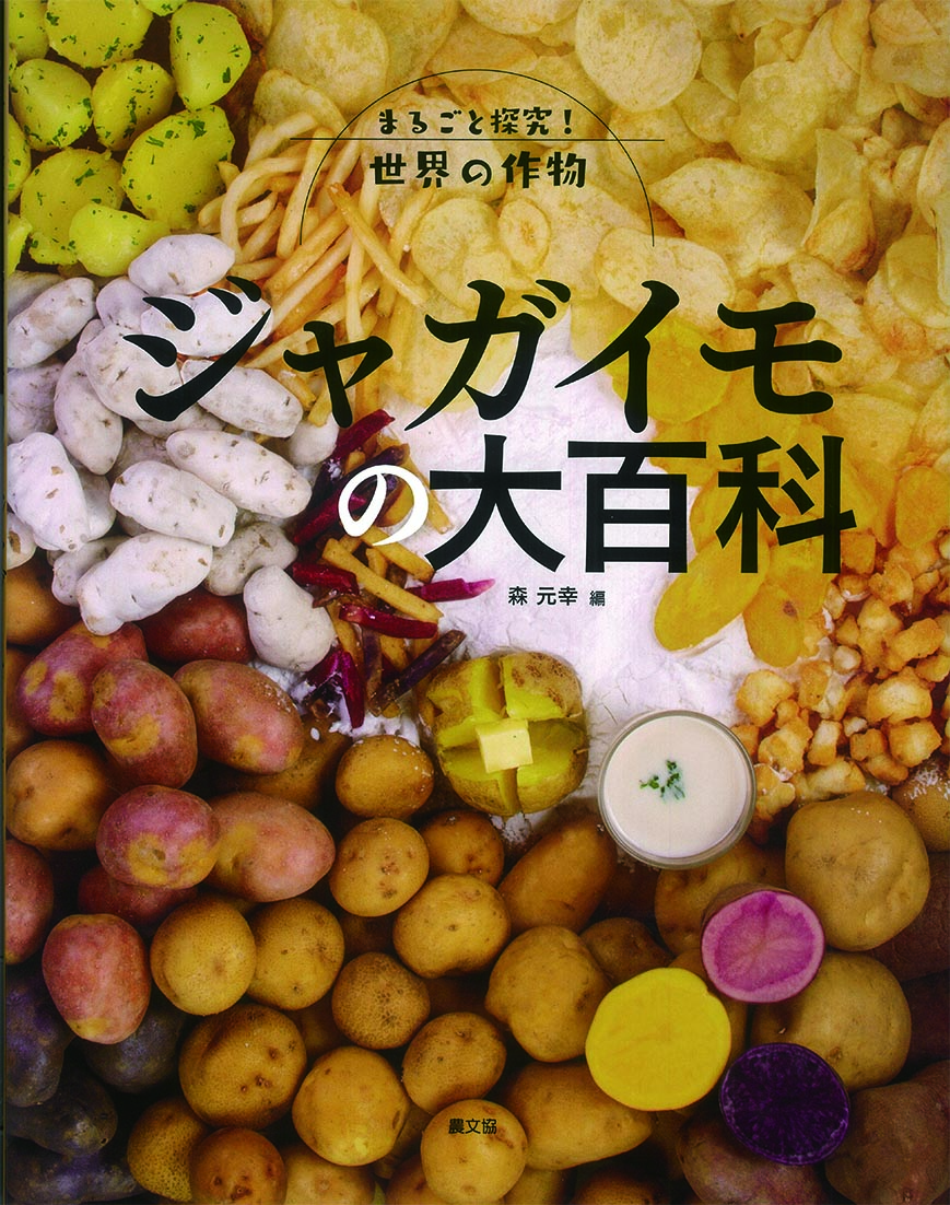 メイン画像