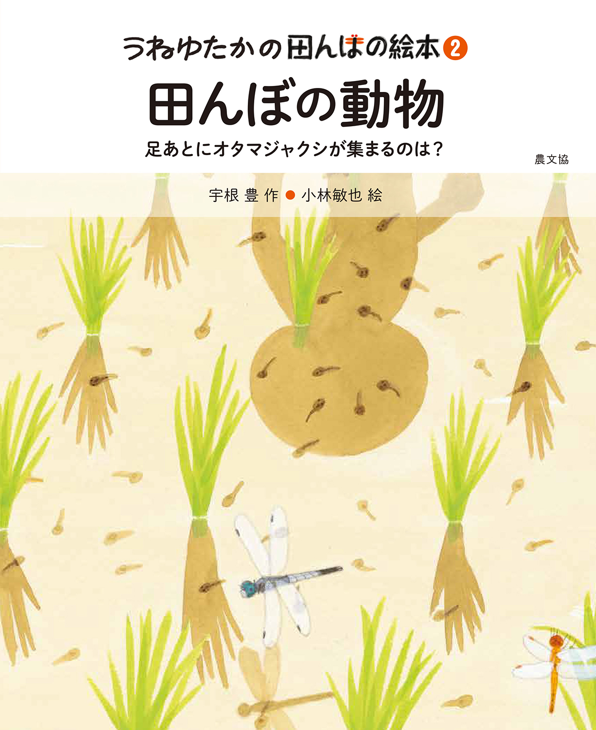 メイン画像