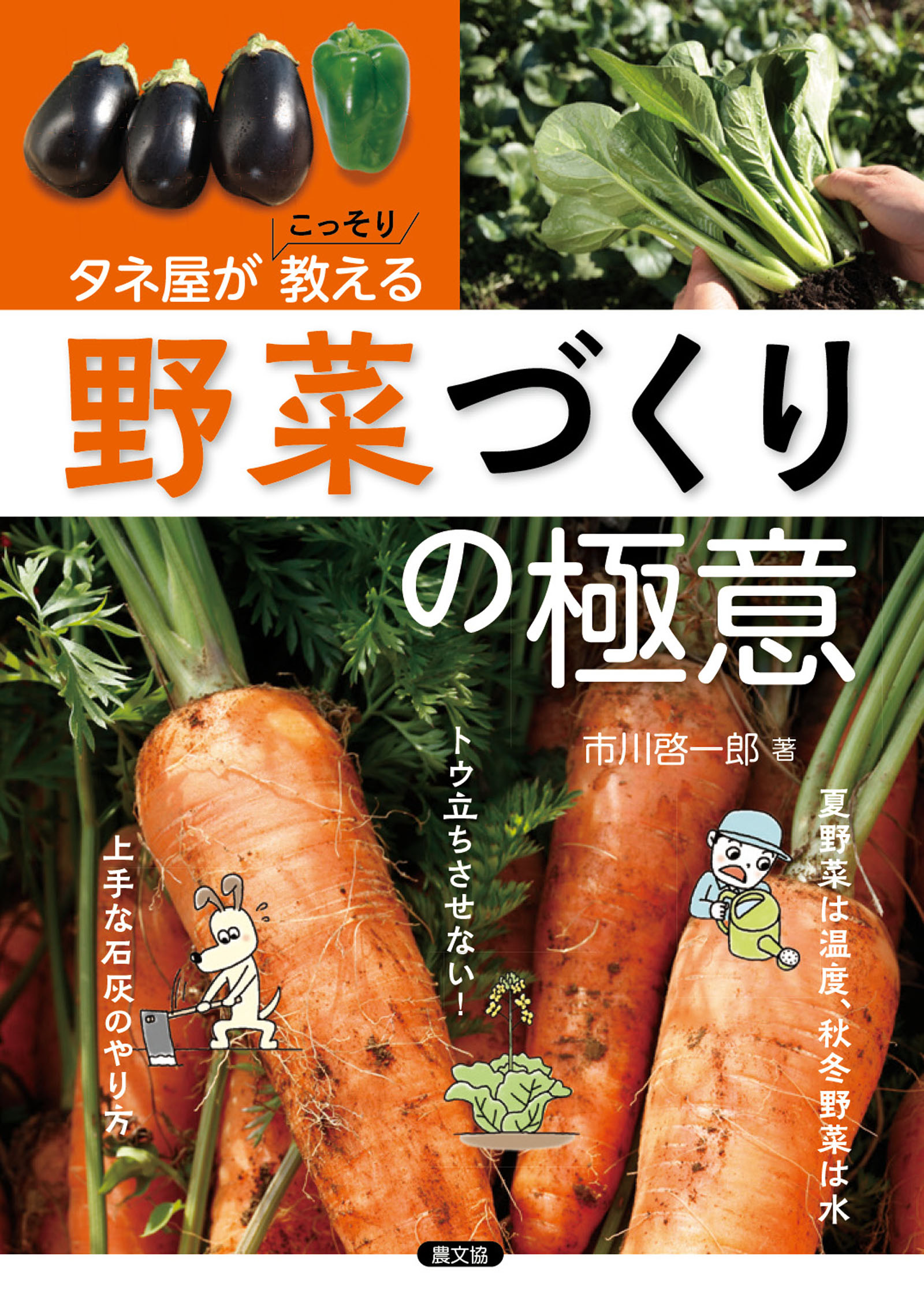 メイン画像