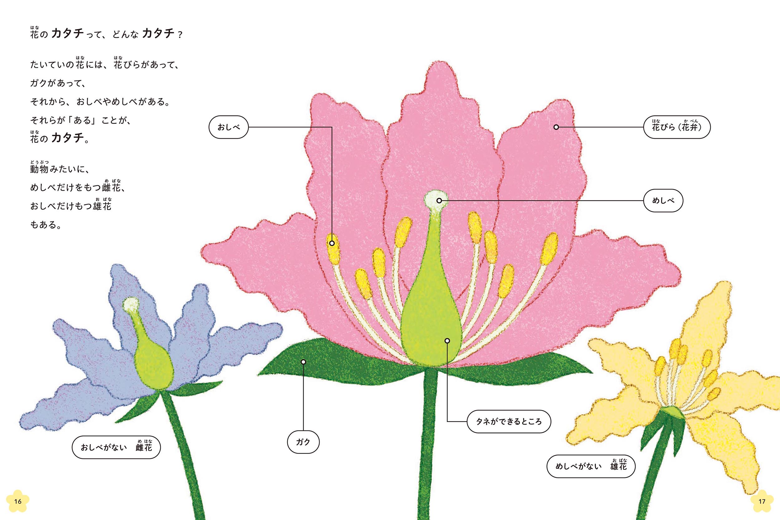 サムネイル画像1