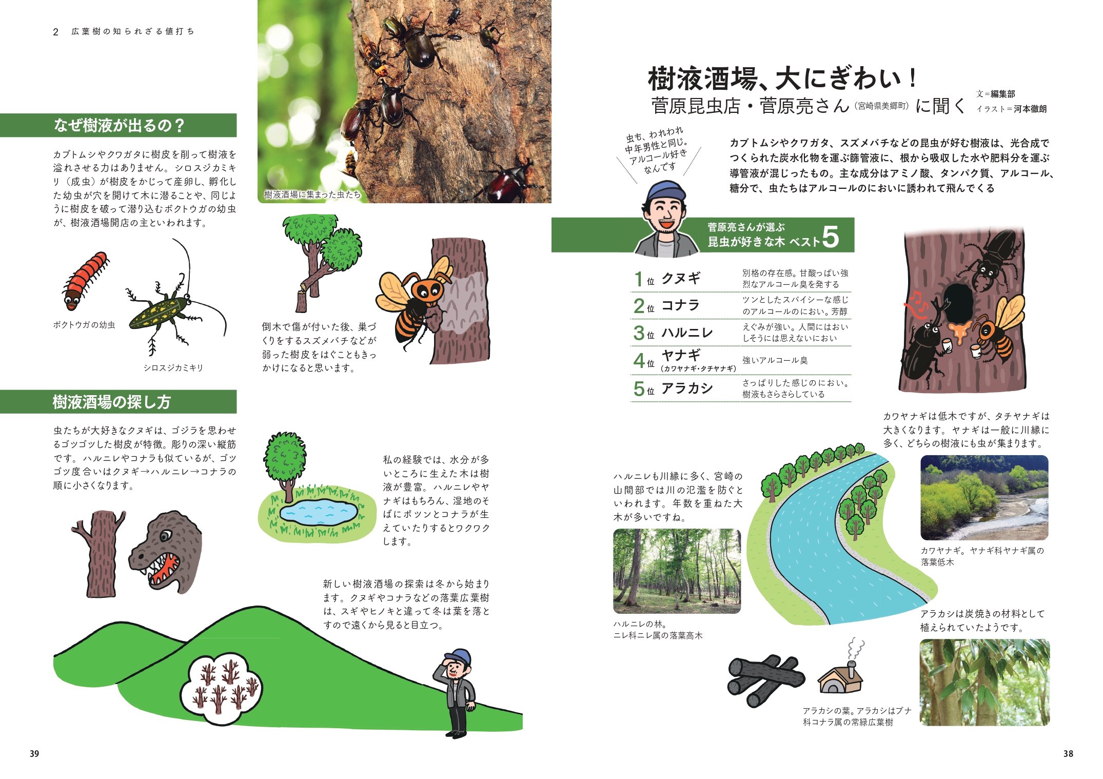 サムネイル画像3