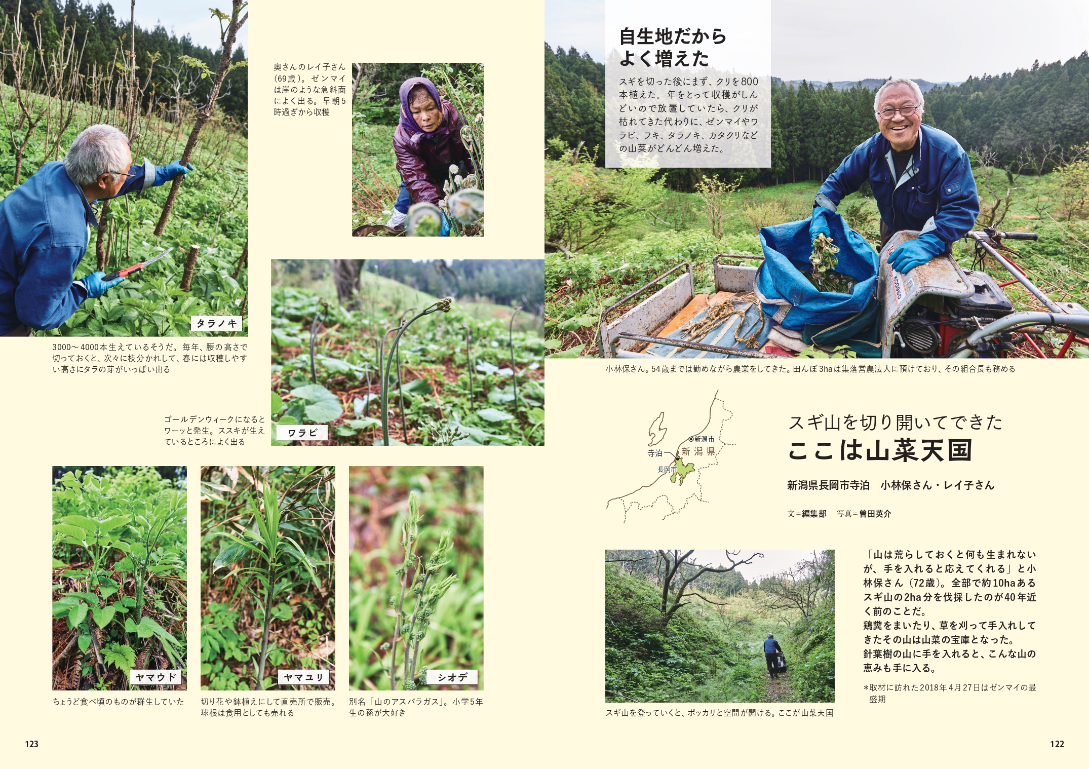 サムネイル画像5