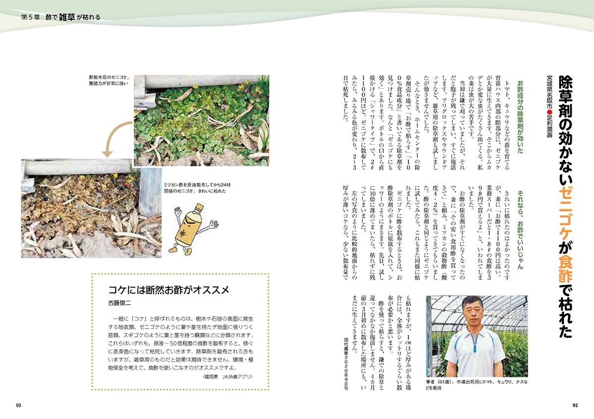 サムネイル画像5