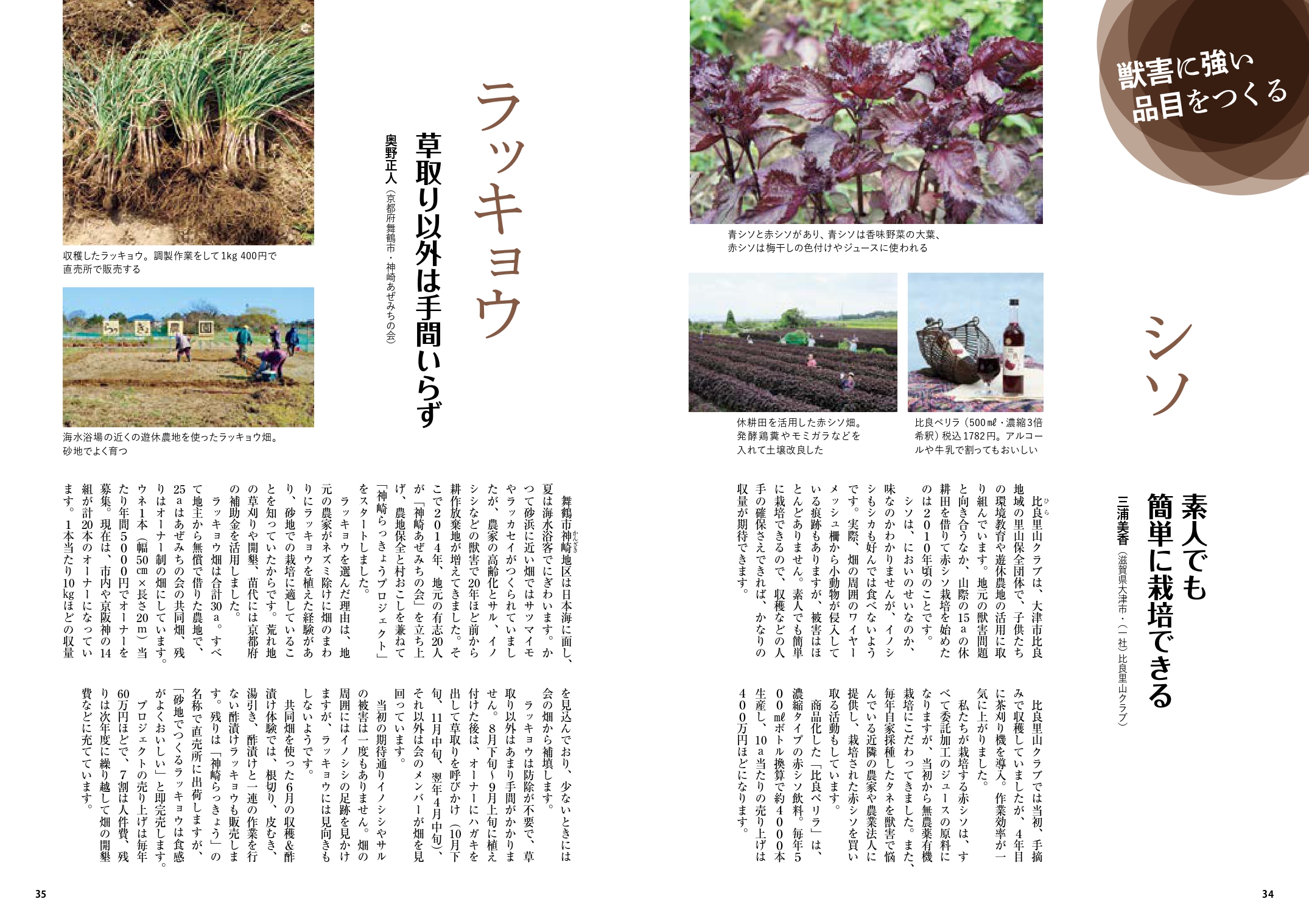 サムネイル画像3