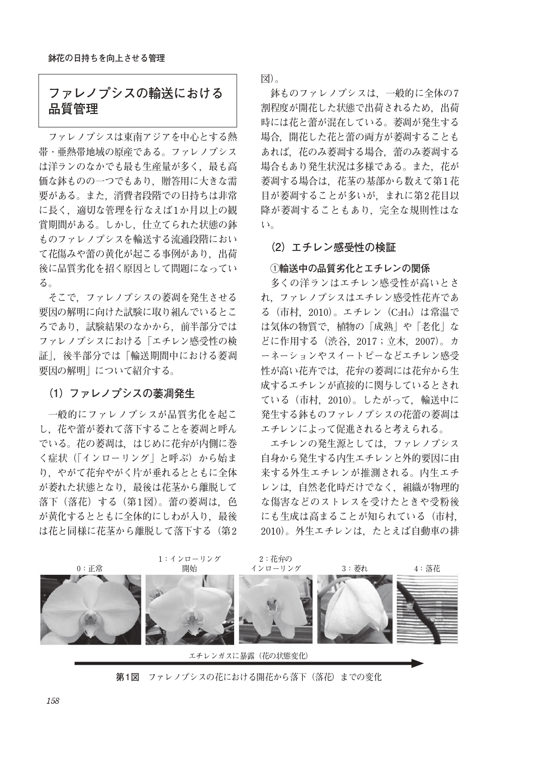 サムネイル画像9