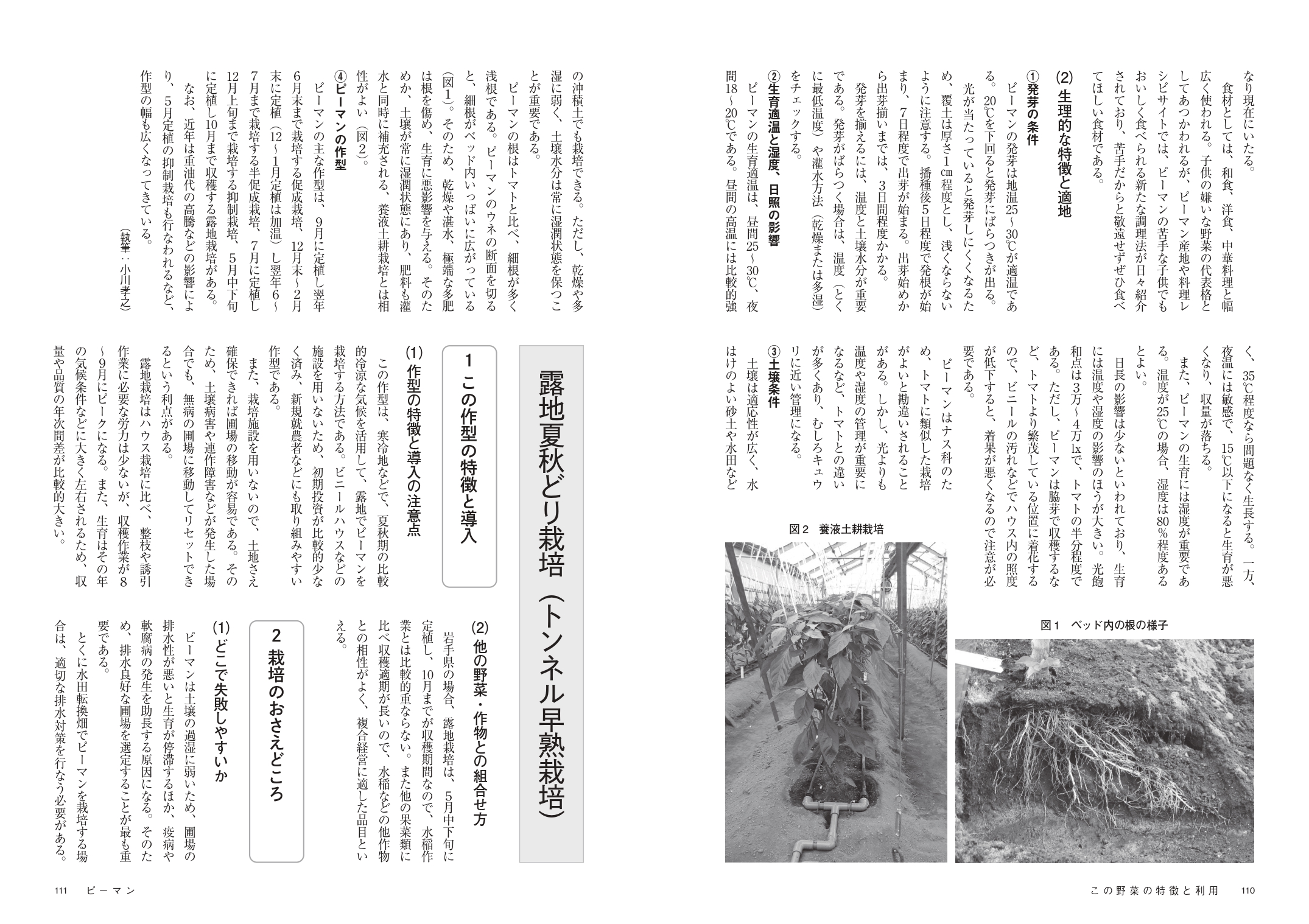 サムネイル画像4