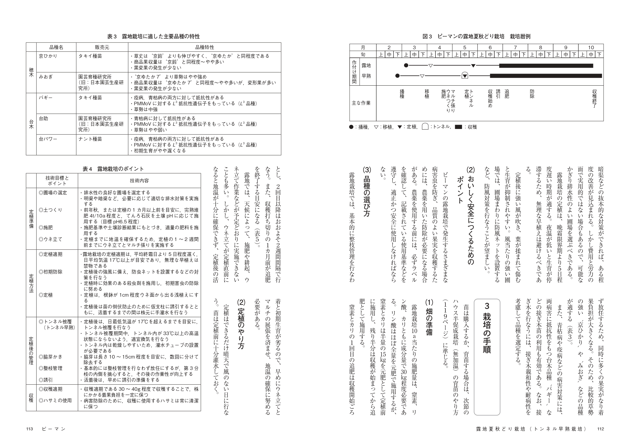サムネイル画像5