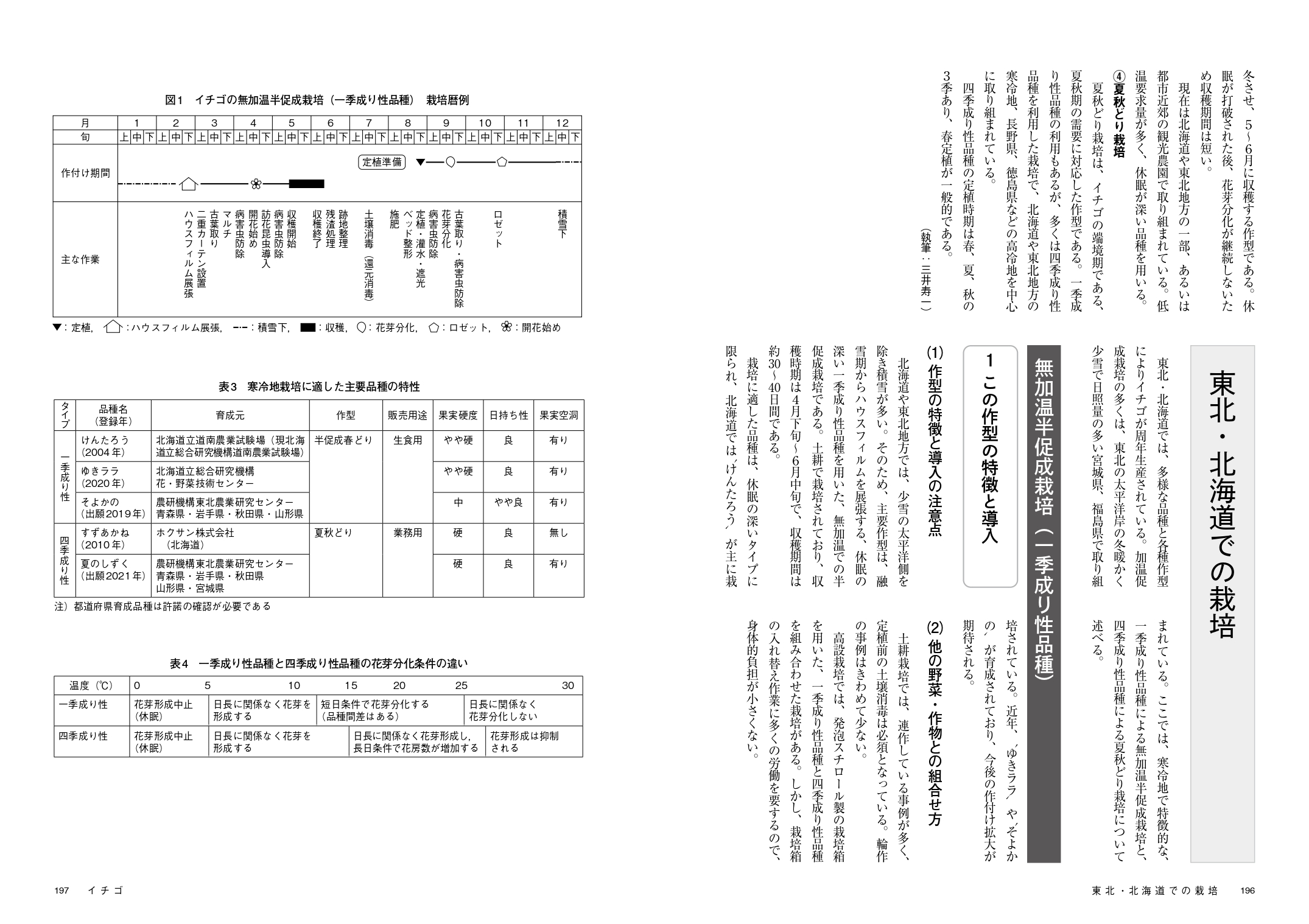 サムネイル画像4