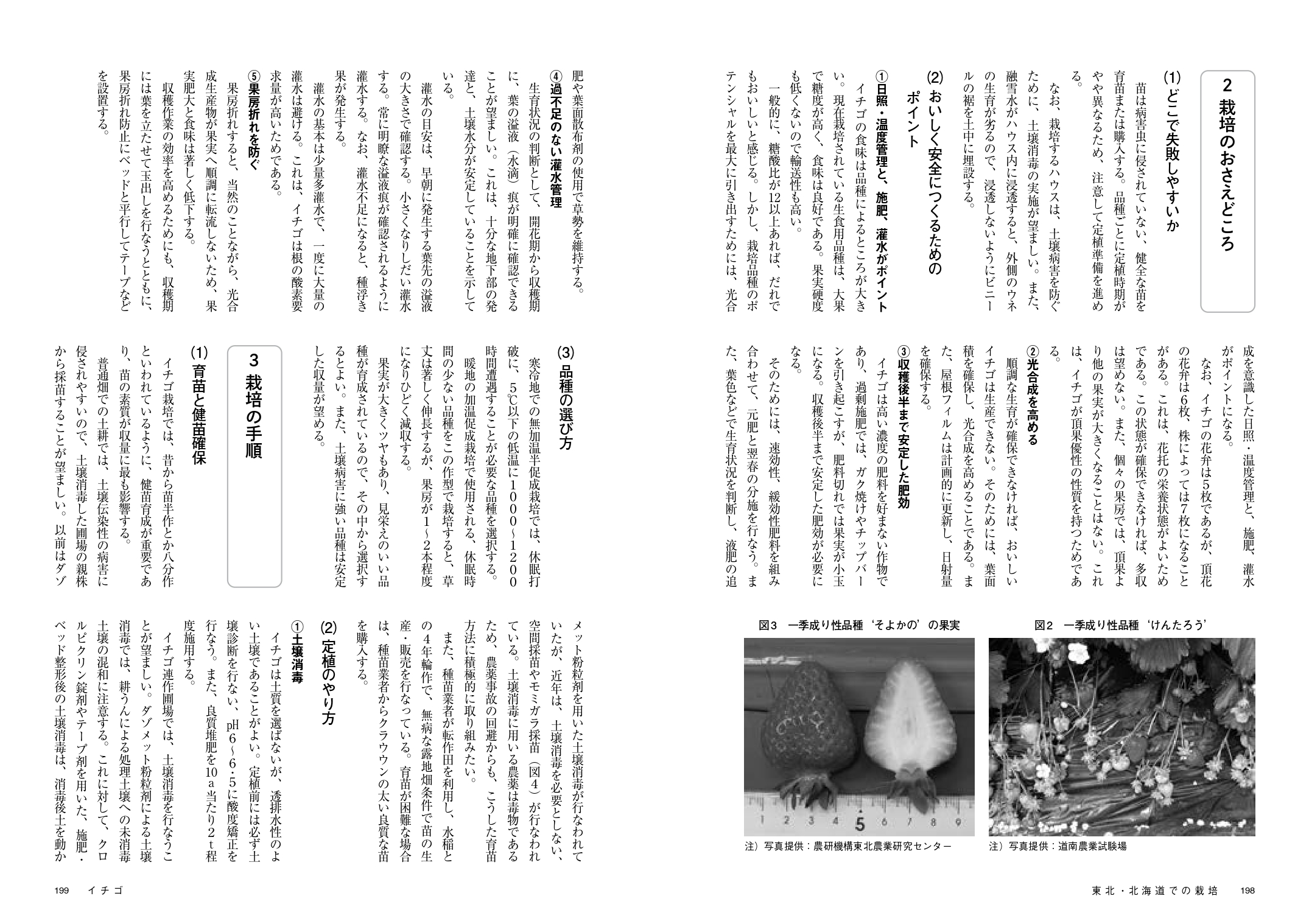 サムネイル画像5
