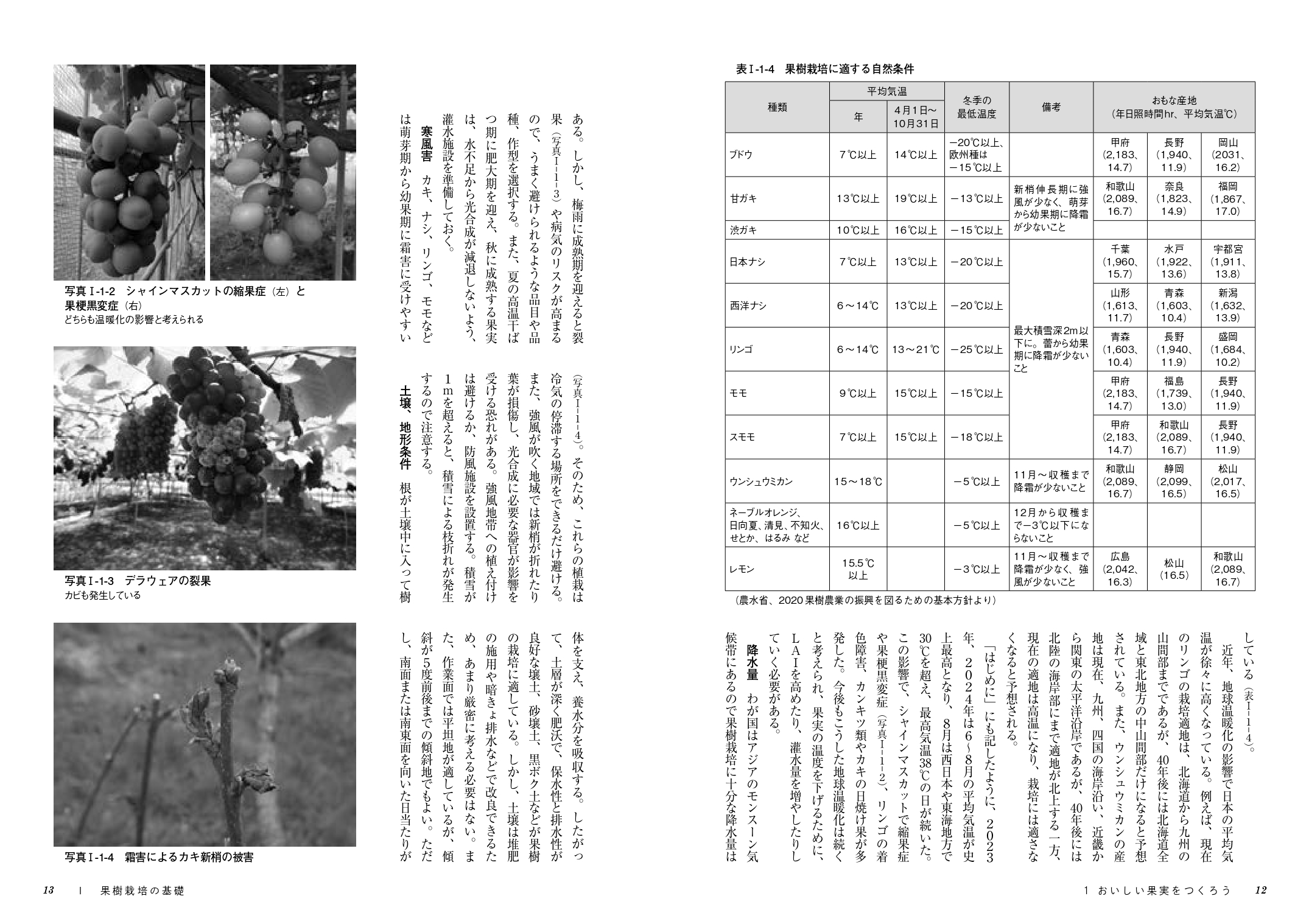 サムネイル画像7