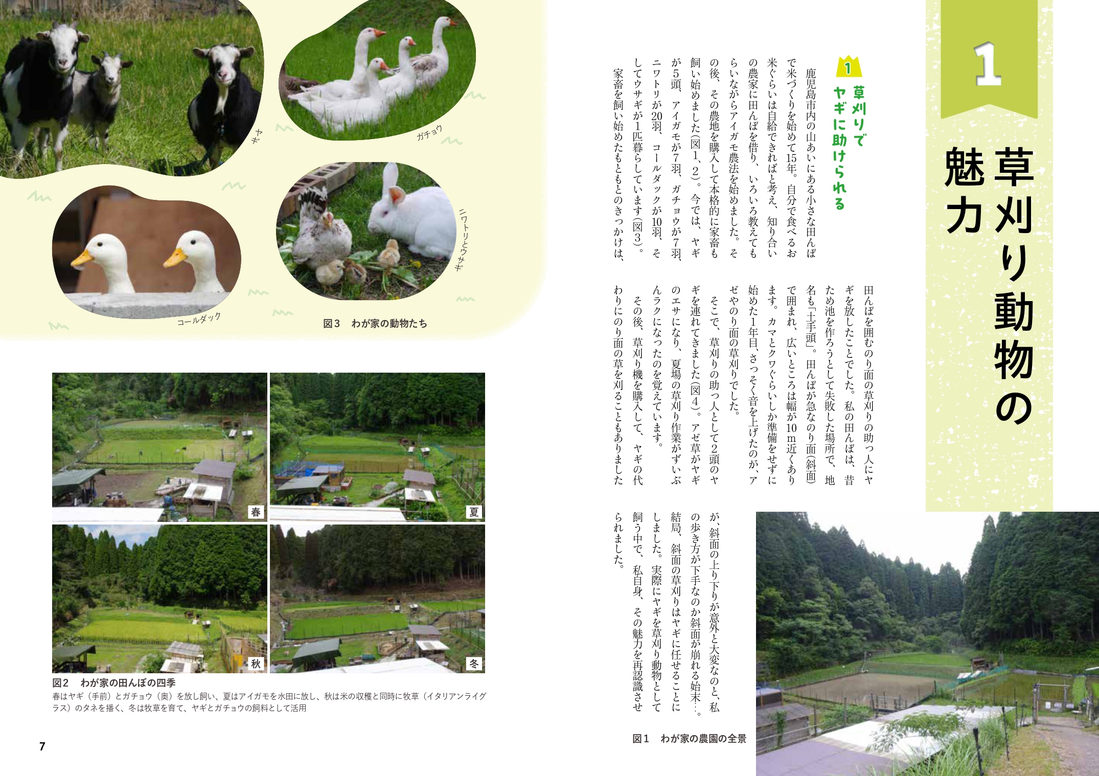 サムネイル画像3