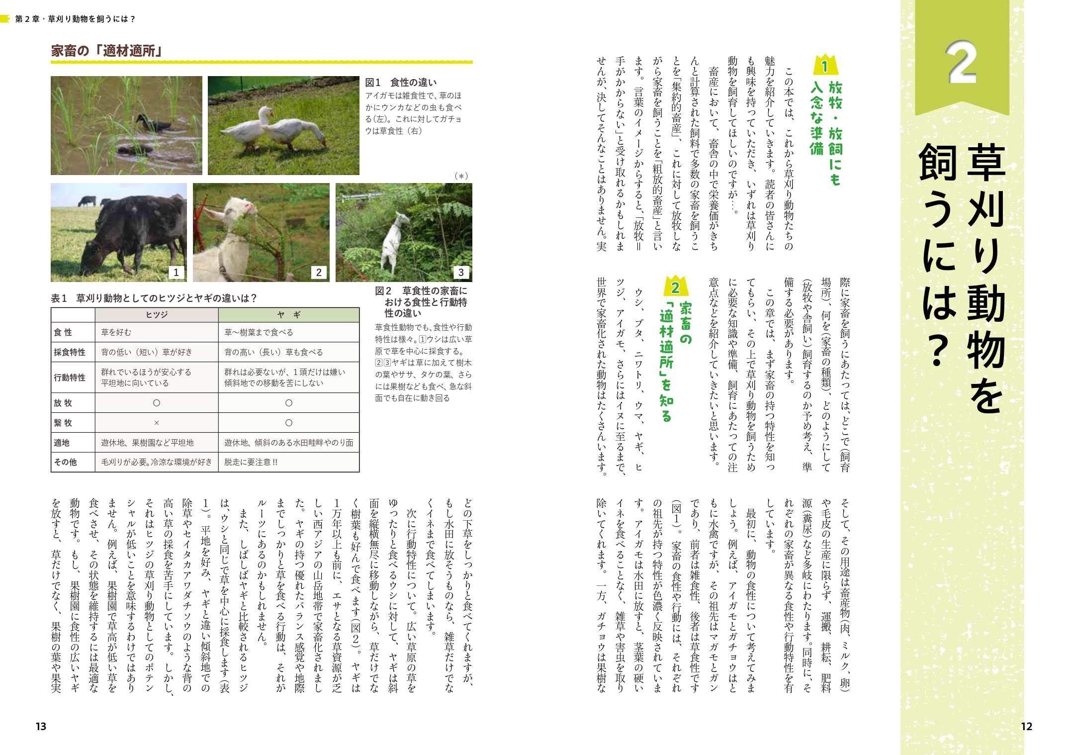 サムネイル画像4