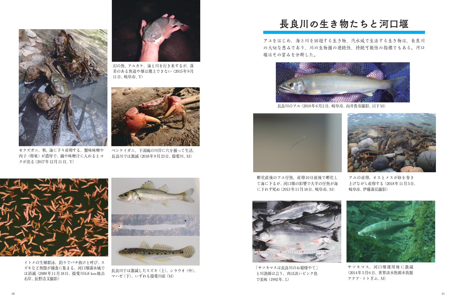 サムネイル画像5
