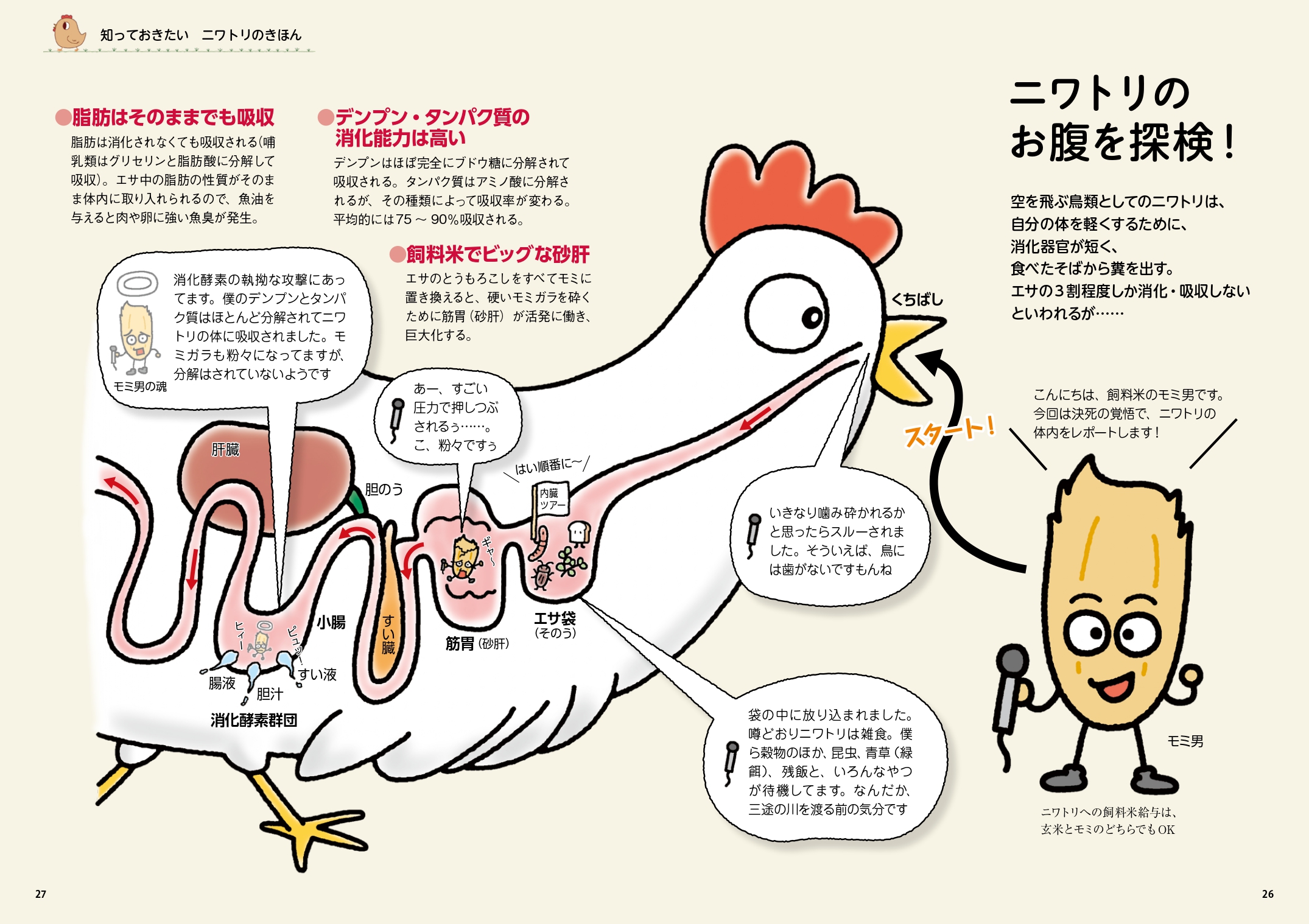 サムネイル画像4