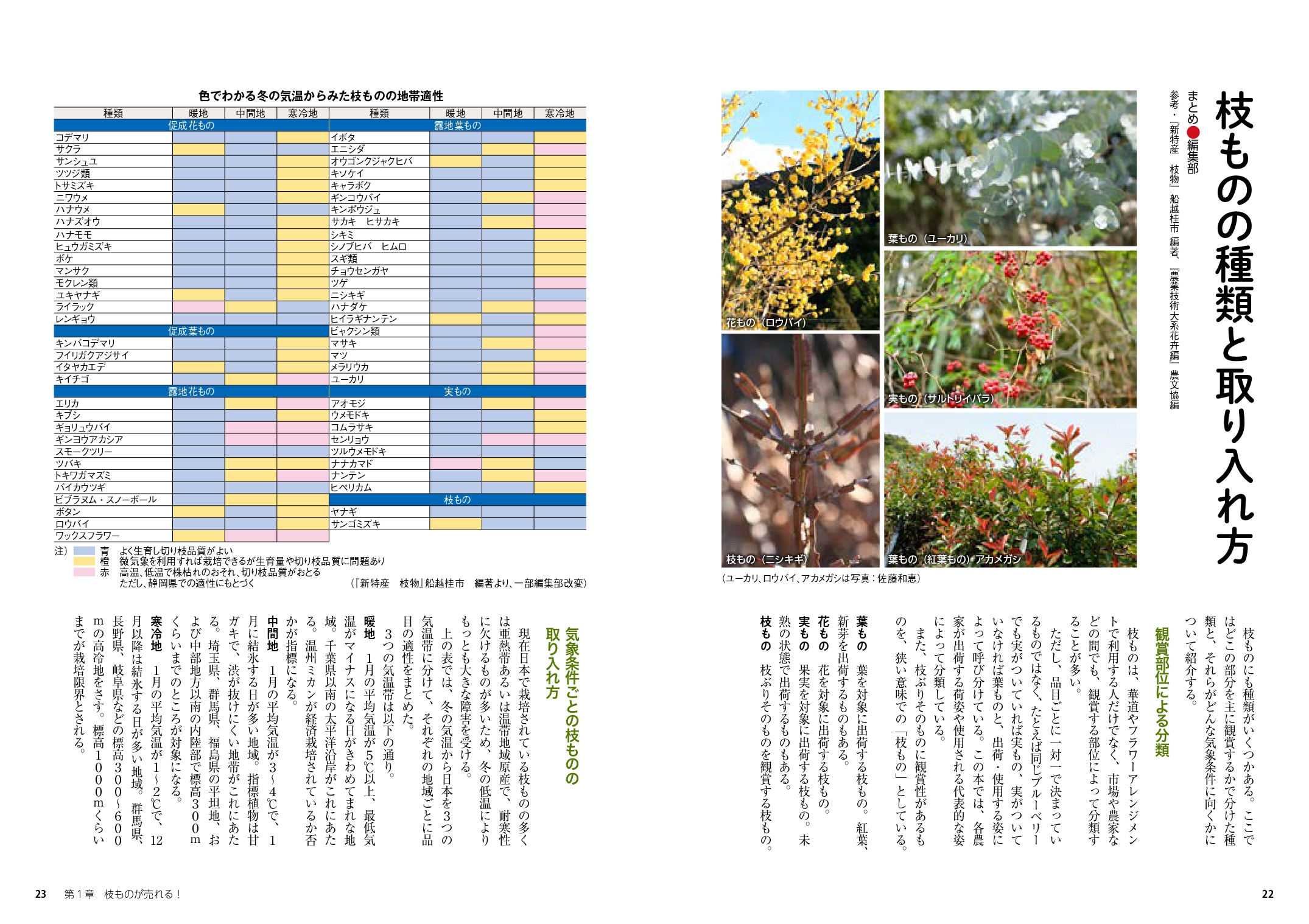 サムネイル画像3