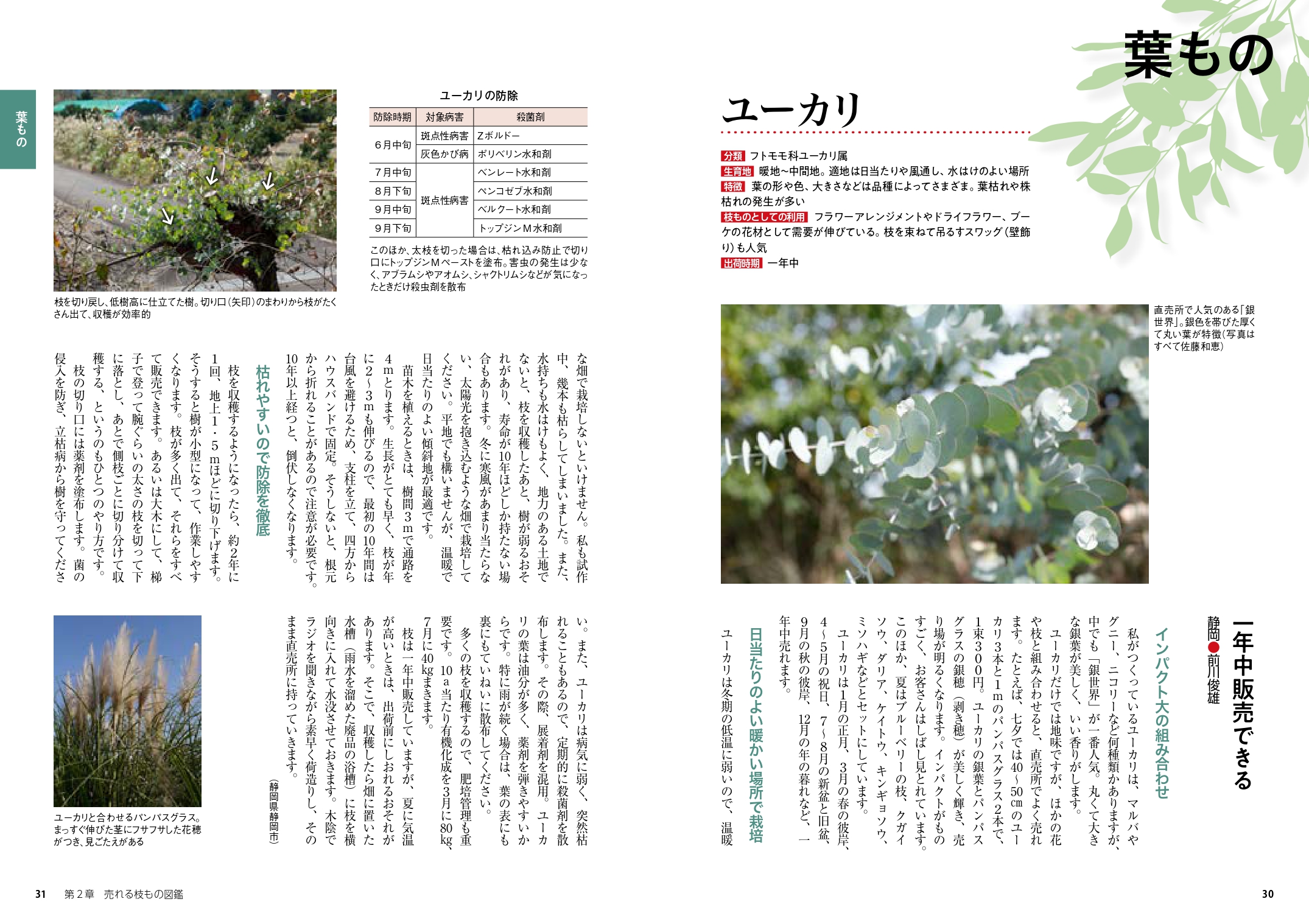 サムネイル画像4
