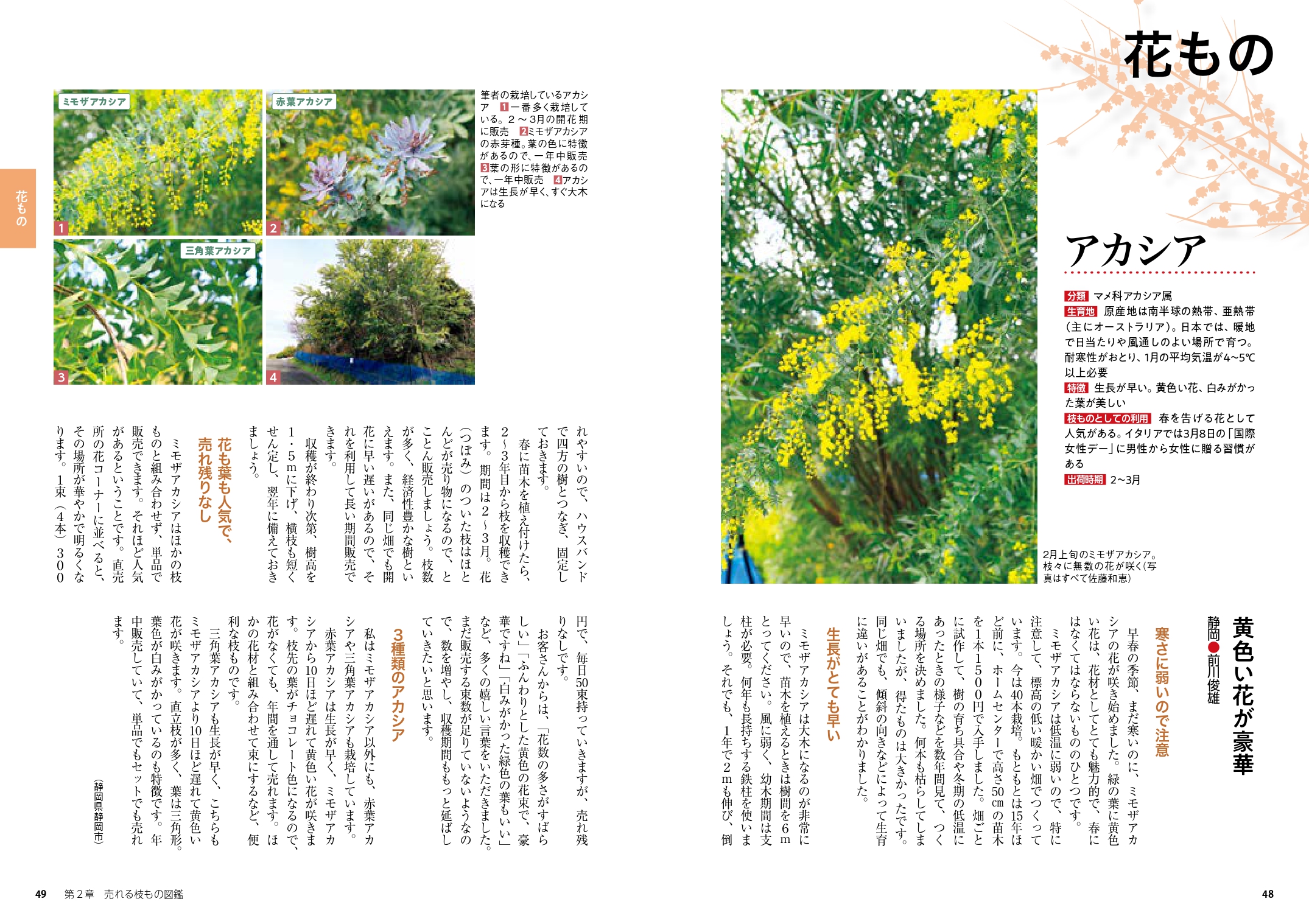 サムネイル画像5