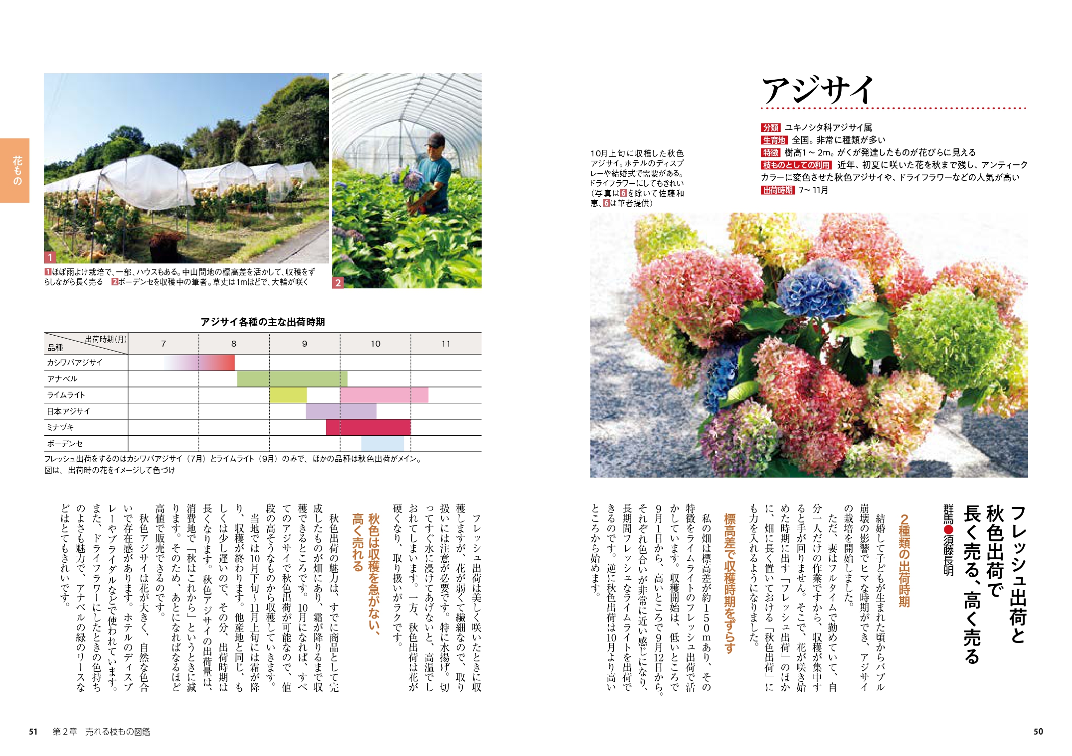 サムネイル画像6