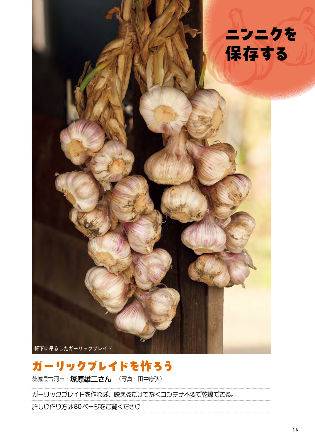 サムネイル画像9