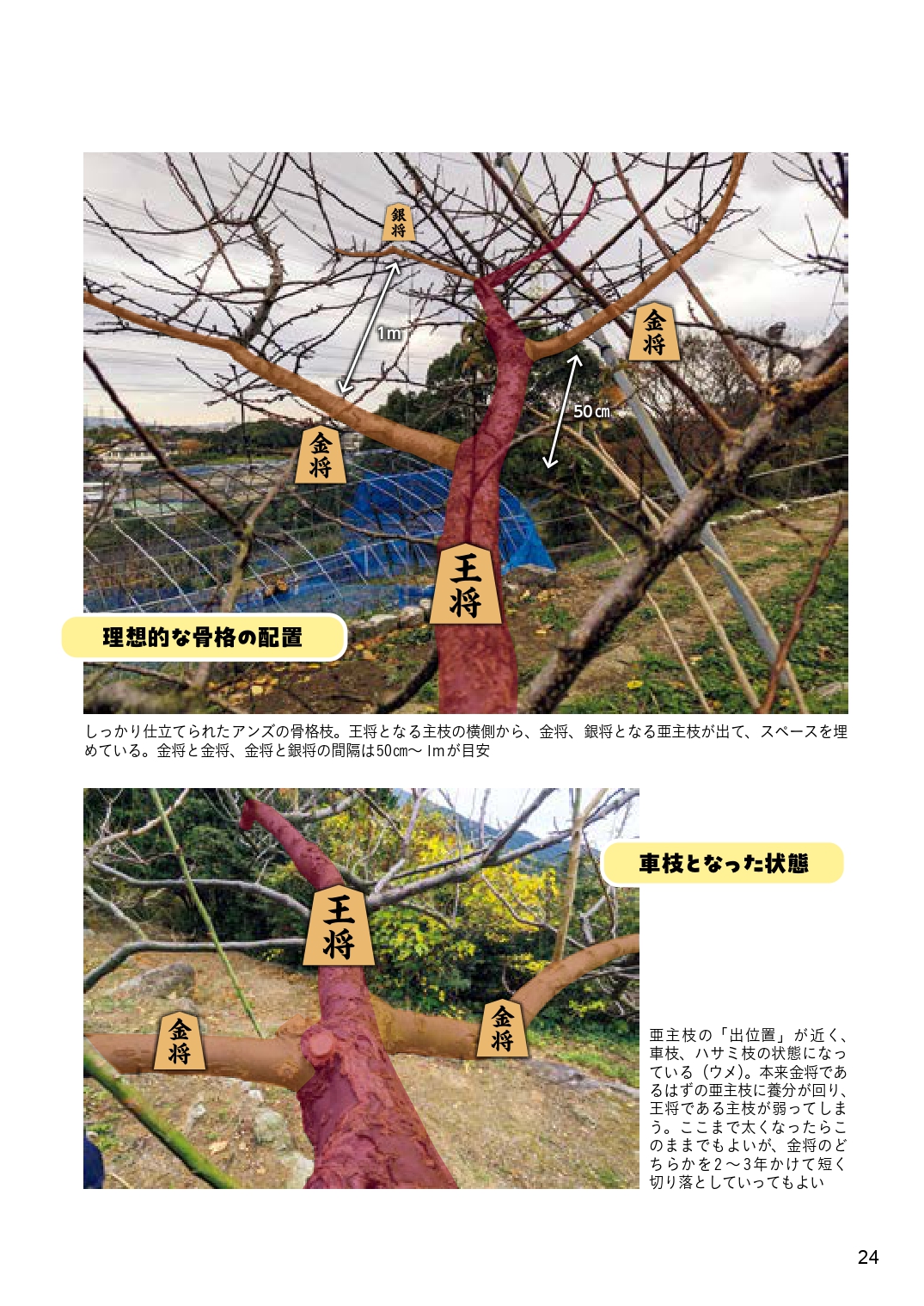 サムネイル画像7