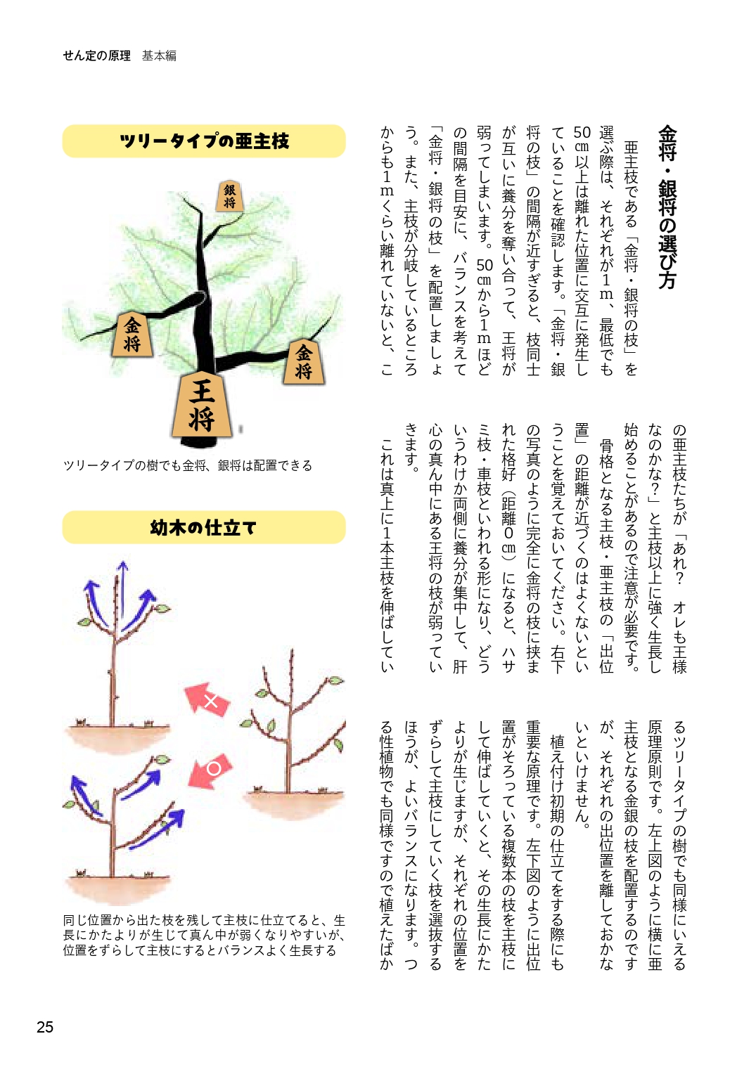 サムネイル画像8
