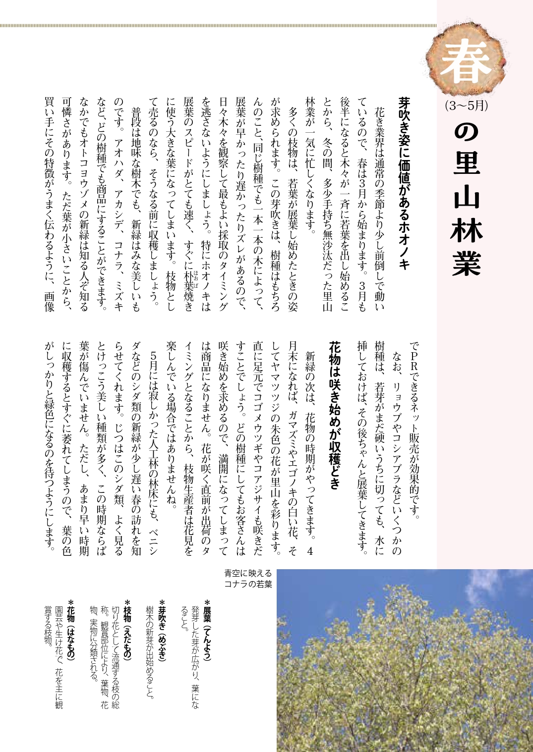 サムネイル画像3