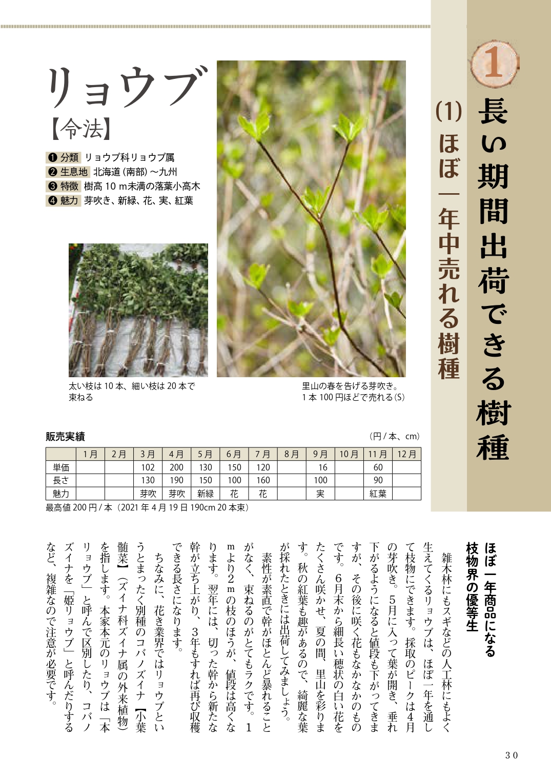 サムネイル画像4
