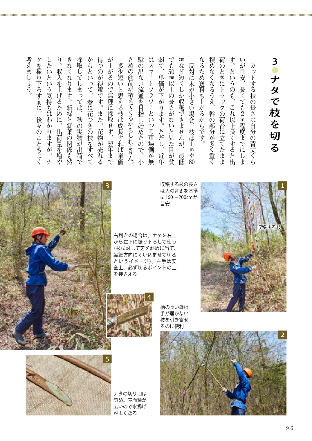 サムネイル画像5