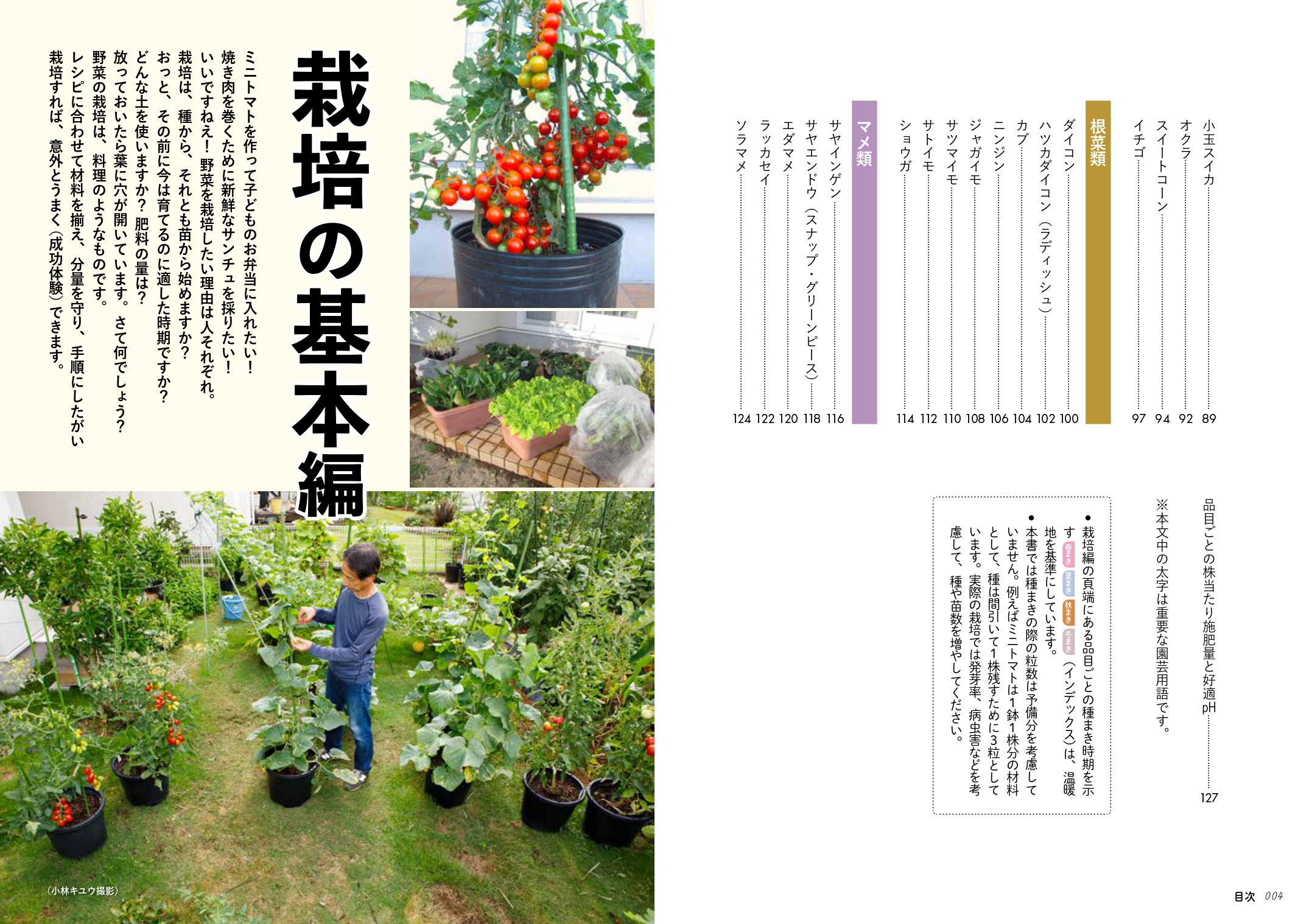サムネイル画像3
