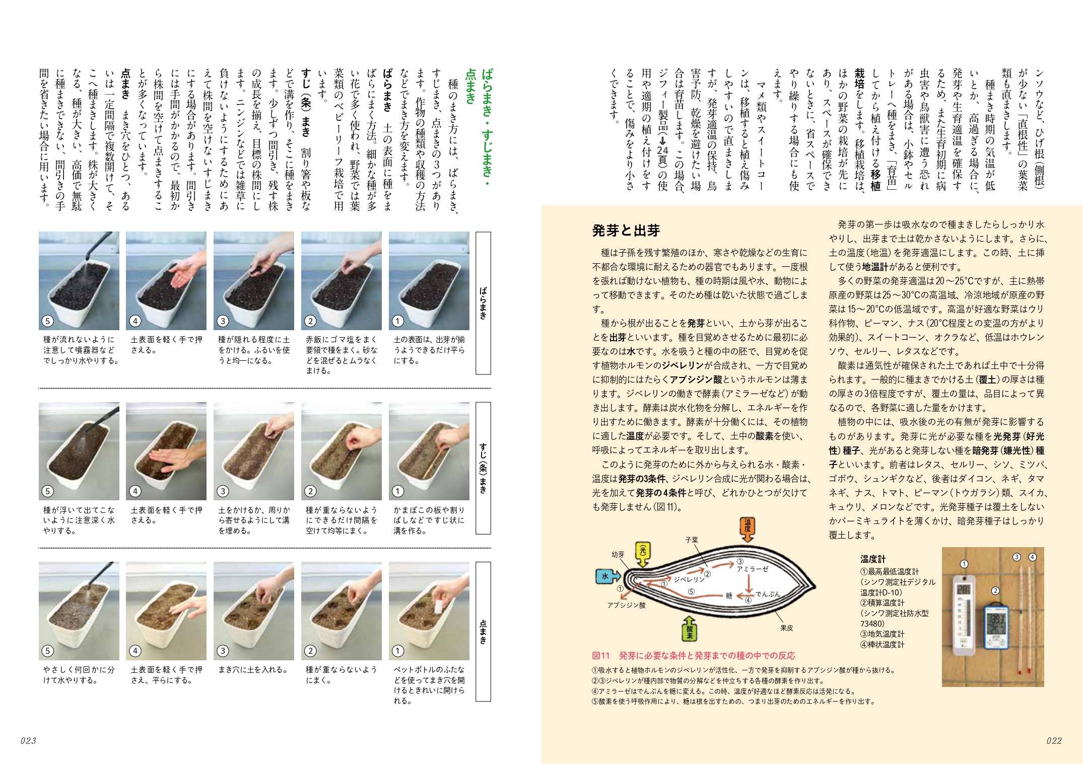 サムネイル画像4