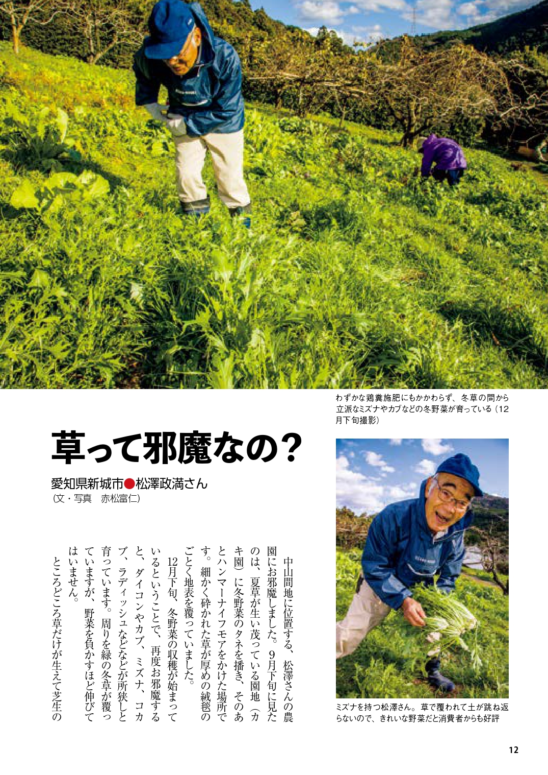 サムネイル画像6