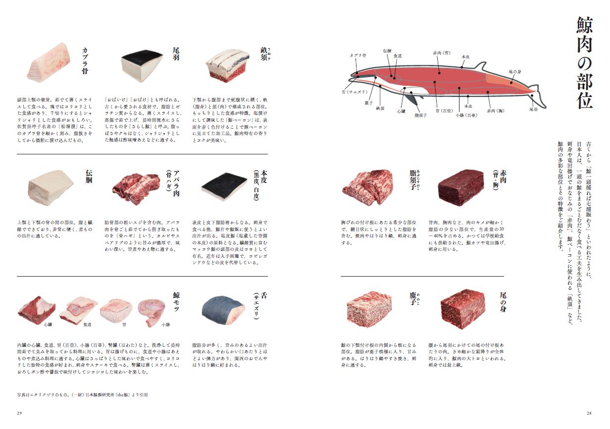 サムネイル画像7