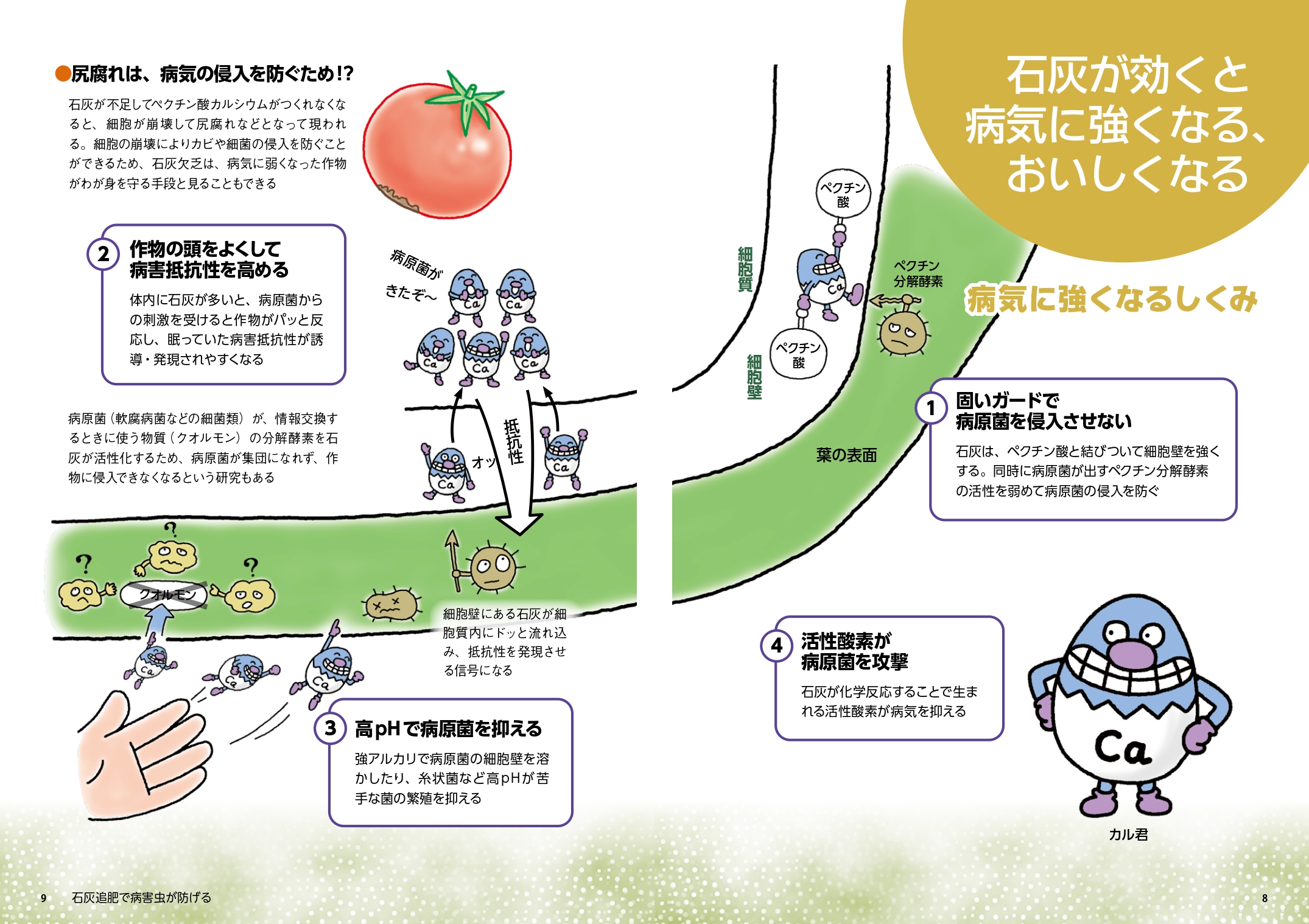サムネイル画像6