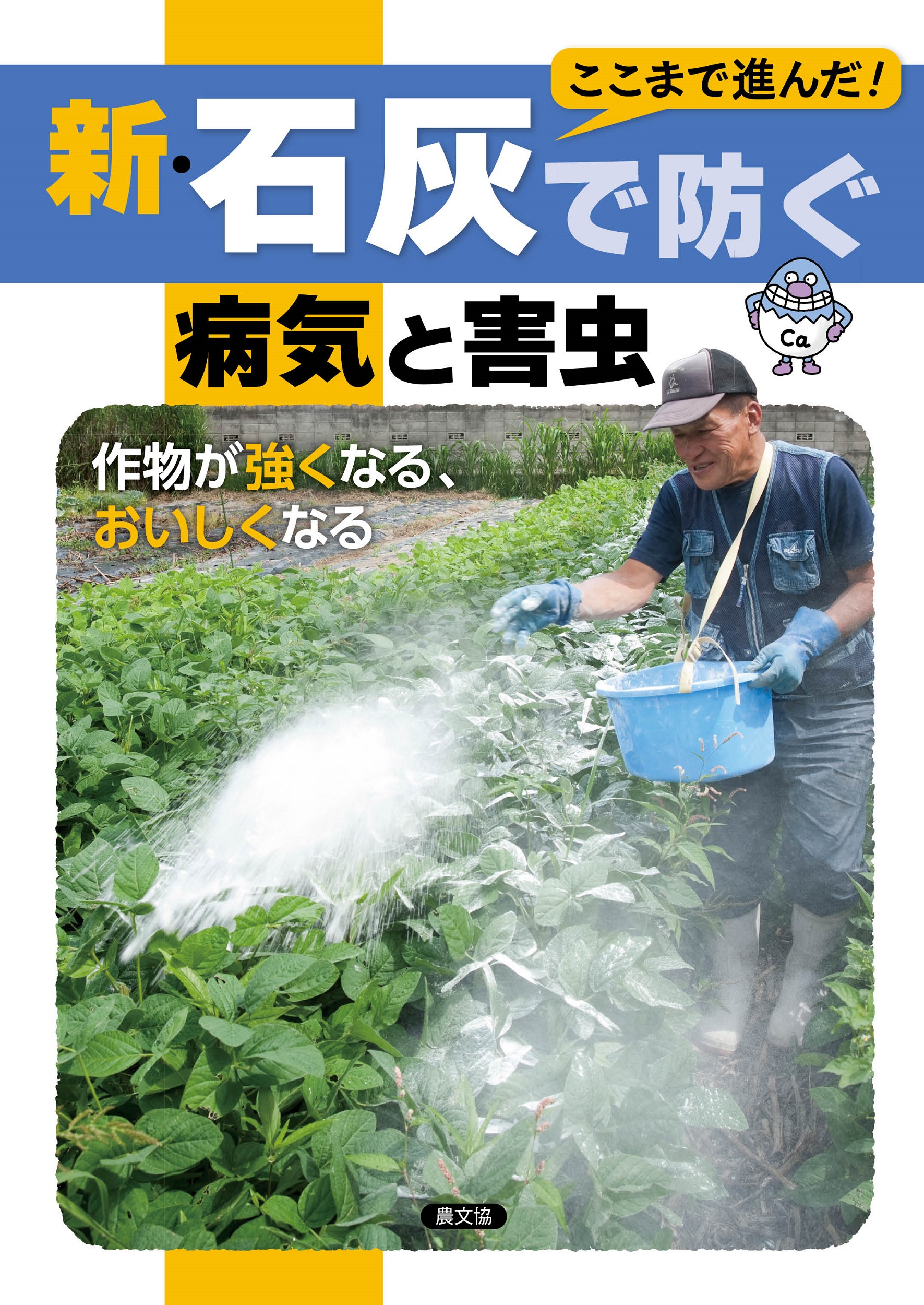 メイン画像