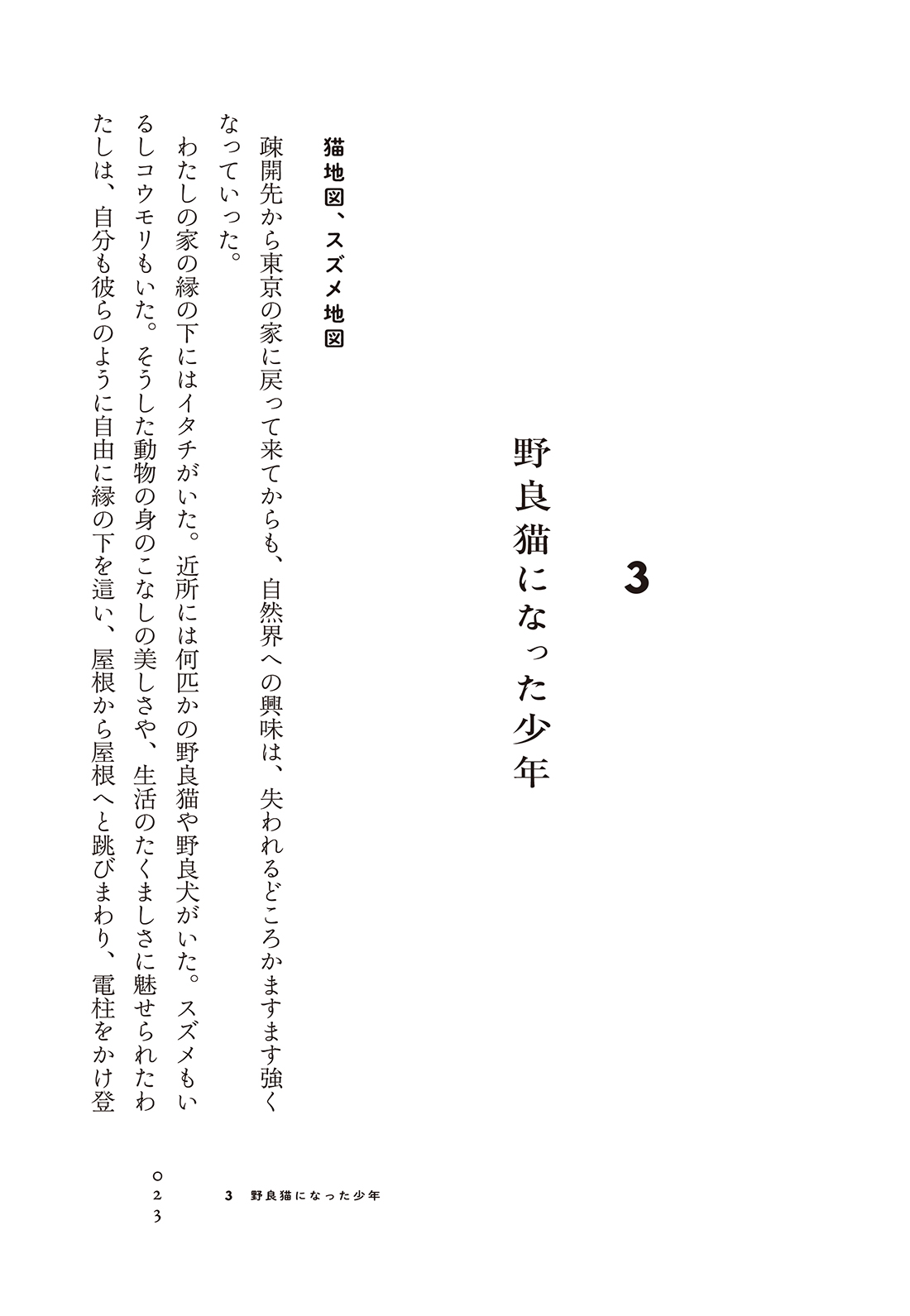 サムネイル画像4