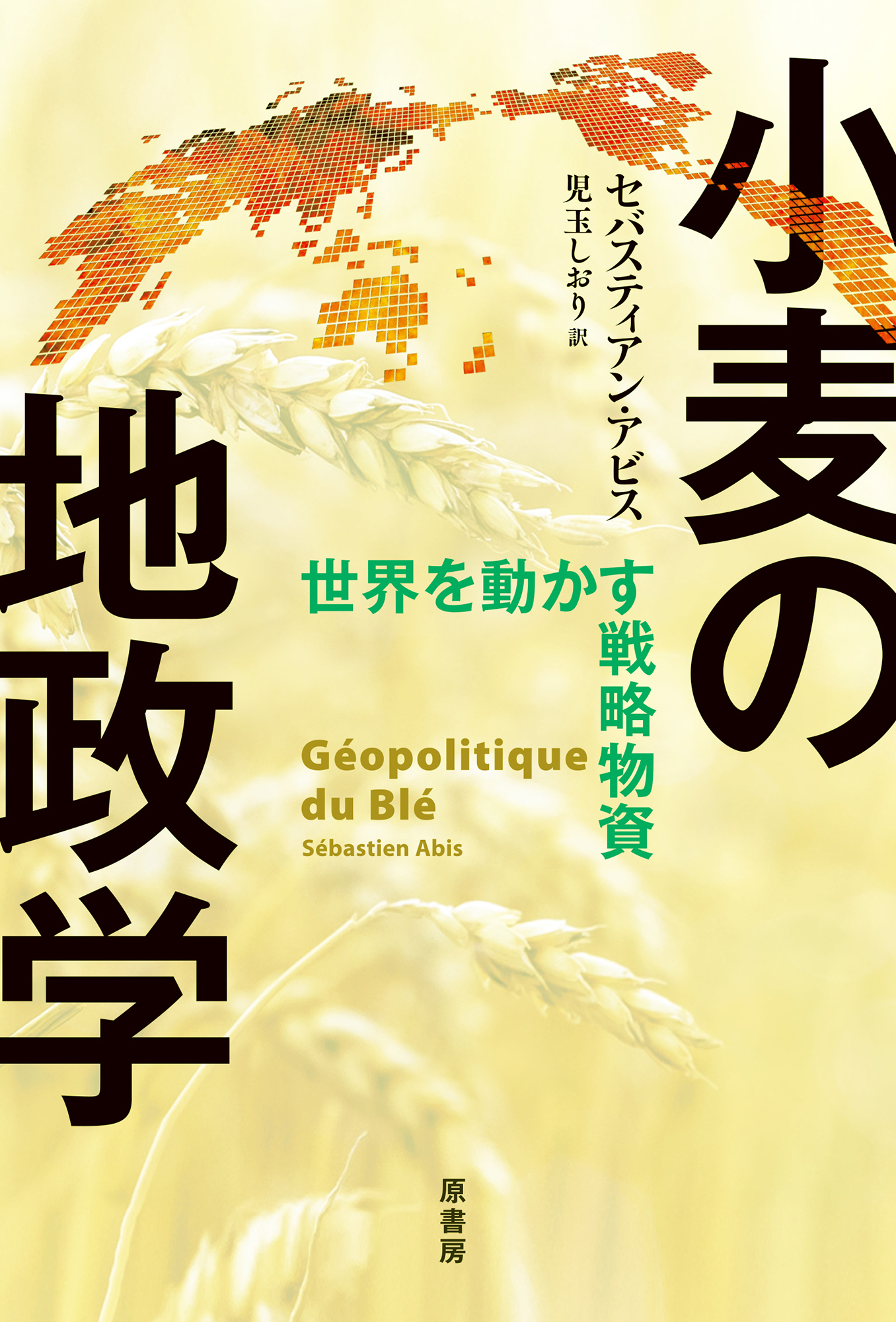 メイン画像