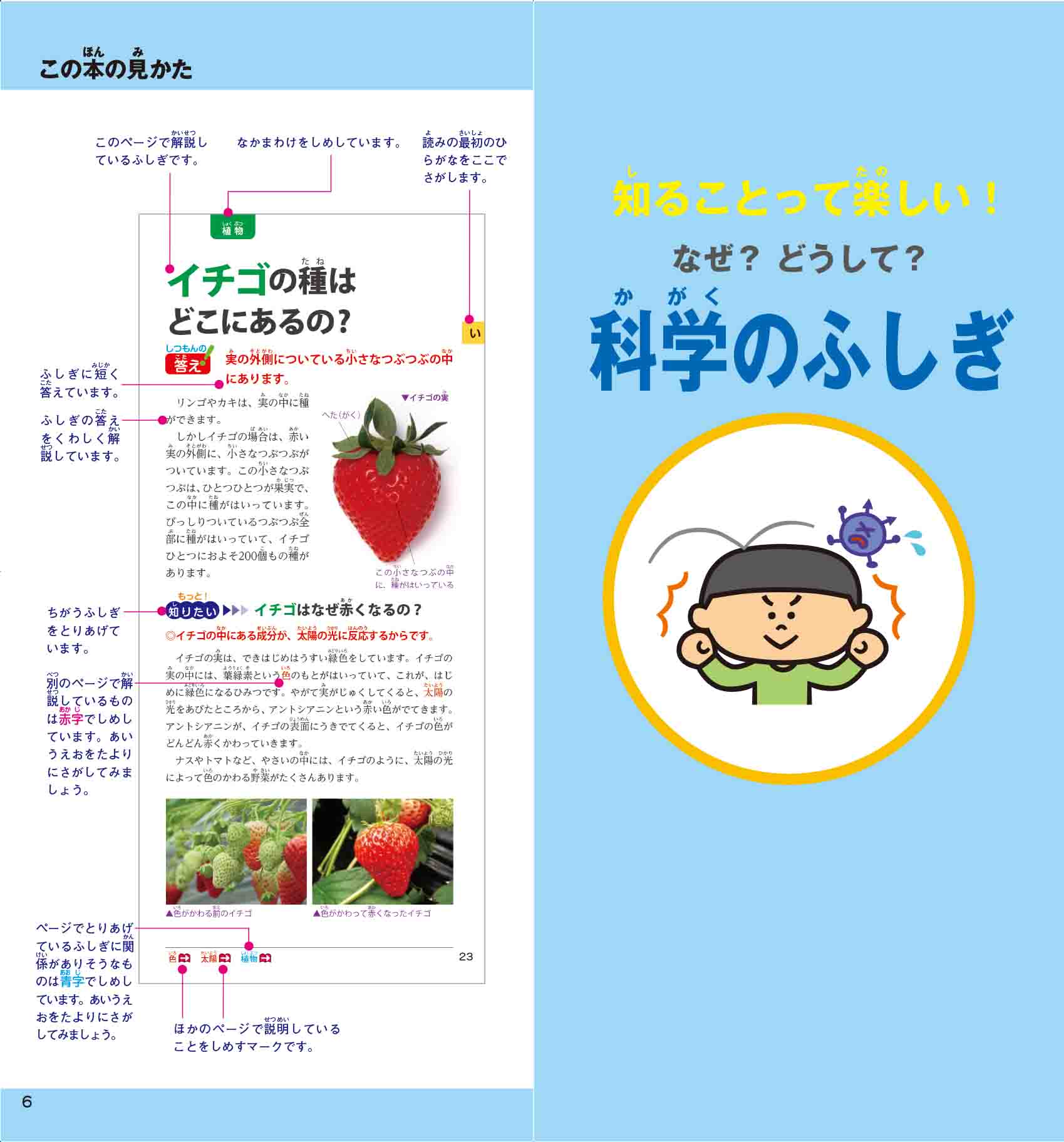 サムネイル画像1